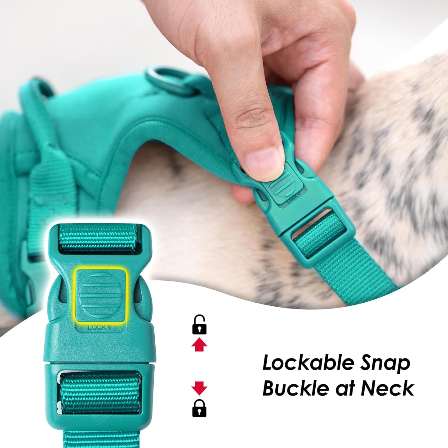 No Pull Dog Harness, Puppy Vest with Front Clip for Small Medium Large Sized Dog(MARRS Green,M)