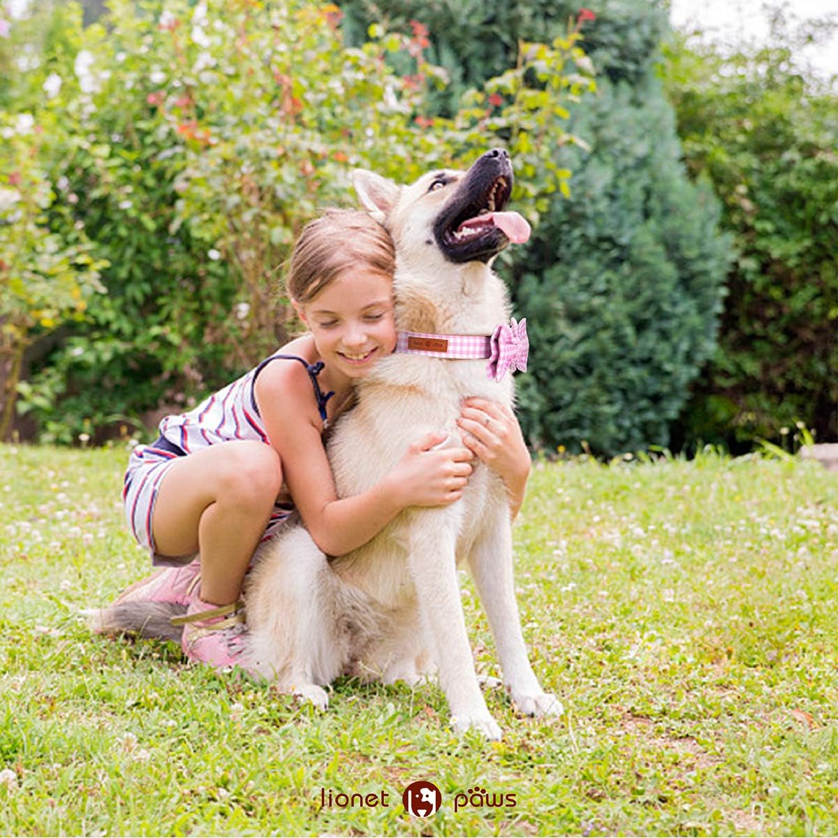 Lionet Paws Dog Collar with Bowtie, Comfortable Adjustable Cute Pink Gingham Bow Tie Collar for Female Dogs Gift, Large, Neck 16-24 inches