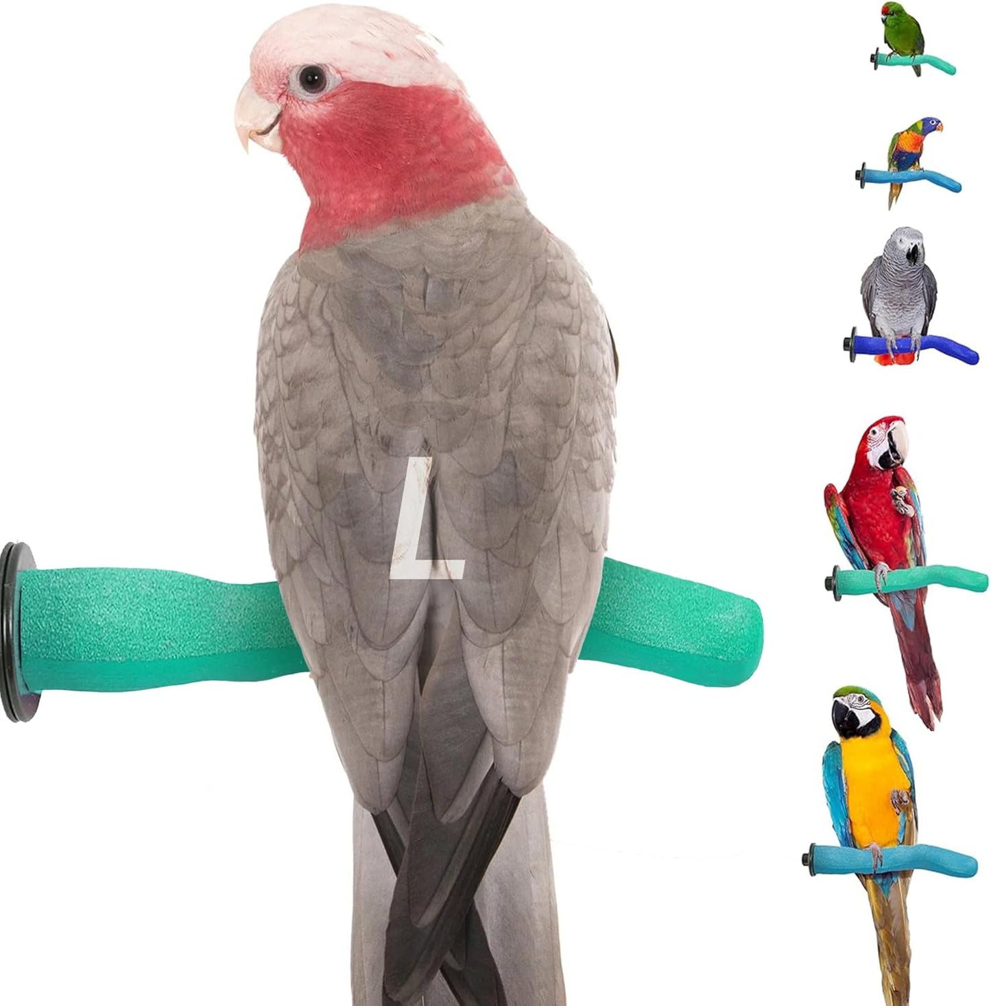 Brid Cage Safety Pumice Perch - Trims Nails and Beak - Promotes Healthy Nails and Beaks - Safe Non-Toxic Bird Supplies for Bird Cages - Large 12"