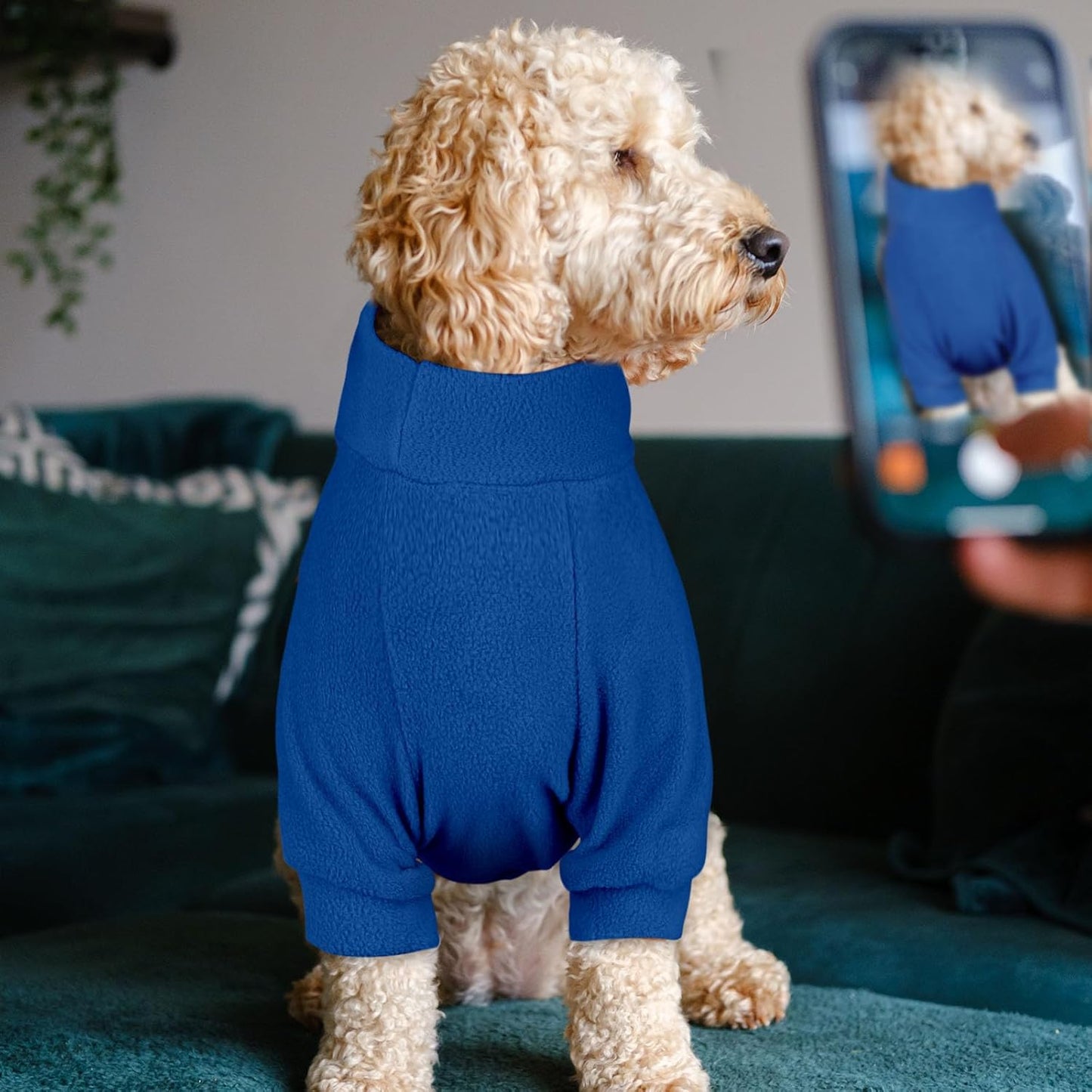 3 Pack Dog Sweaters for Medium Dogs, Fleece Dog Sweater Turtleneck Soft Warm Pet Sweatshirt Clothes Medium Sized Boy Girl Pet(Gray+Royal Blue+Navy,M)