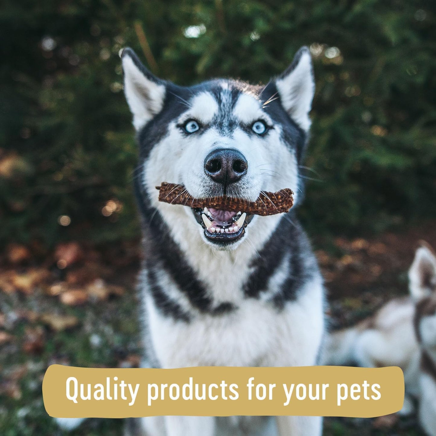 Farm Hounds - Duck Gizzards - Premium Natural Jerky for Dogs - 100% Humanely Raised Duck - Break-to-Size - Great for Training & Treats - No Added Fillers - Made in USA - 4oz - 1 Pack