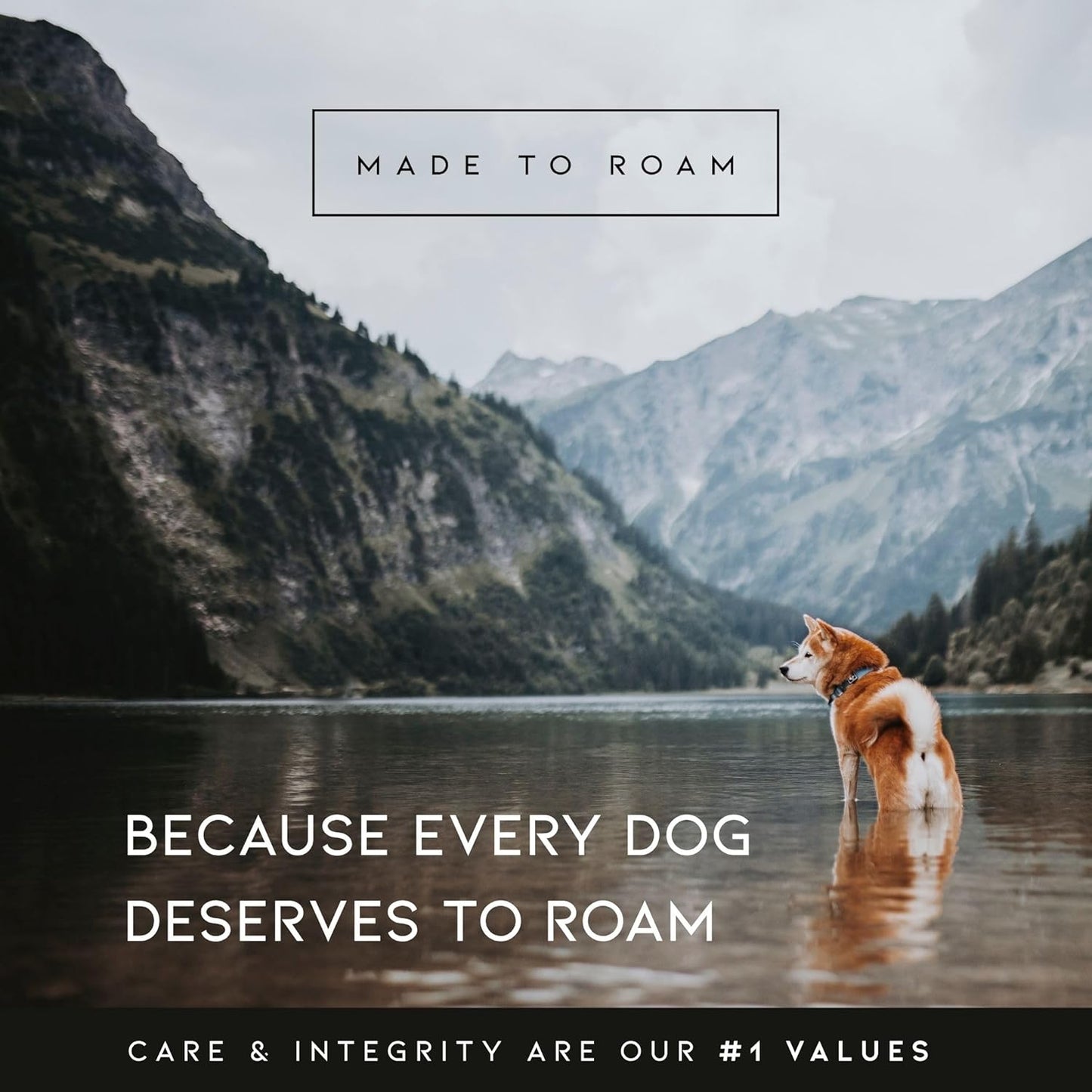 MADE TO ROAM Premium Explorer Harness - Y-Shaped Dog Harness with Adjustable Durable Nylon, Soft Padding, Metal Buckles and Leather Handle for Small, Medium, Large Dogs (Michigan Autumn, Size 5)