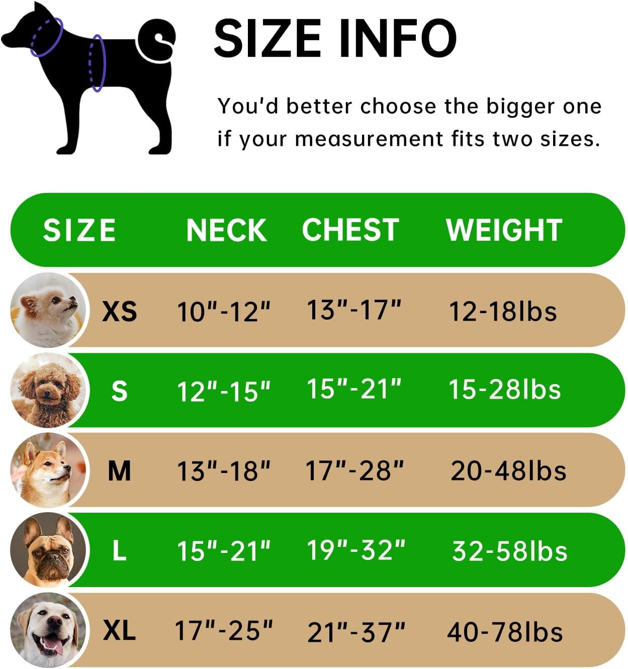 IVY&LANE No Pull Dog Harness for Small Dogs, Dog Vest Harness with Leash, Safety Belt and Storage Strap, Fully Adjustable Harness, 360° Reflective Strip, Soft Handle (Green,S)