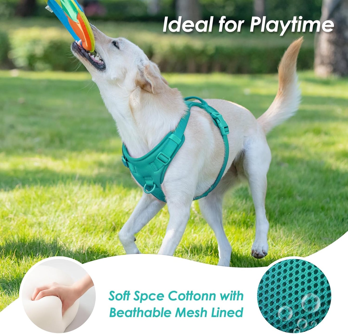 No Pull Dog Harness, Puppy Vest with Front Clip for Small Medium Large Sized Dog(MARRS Green,XS)