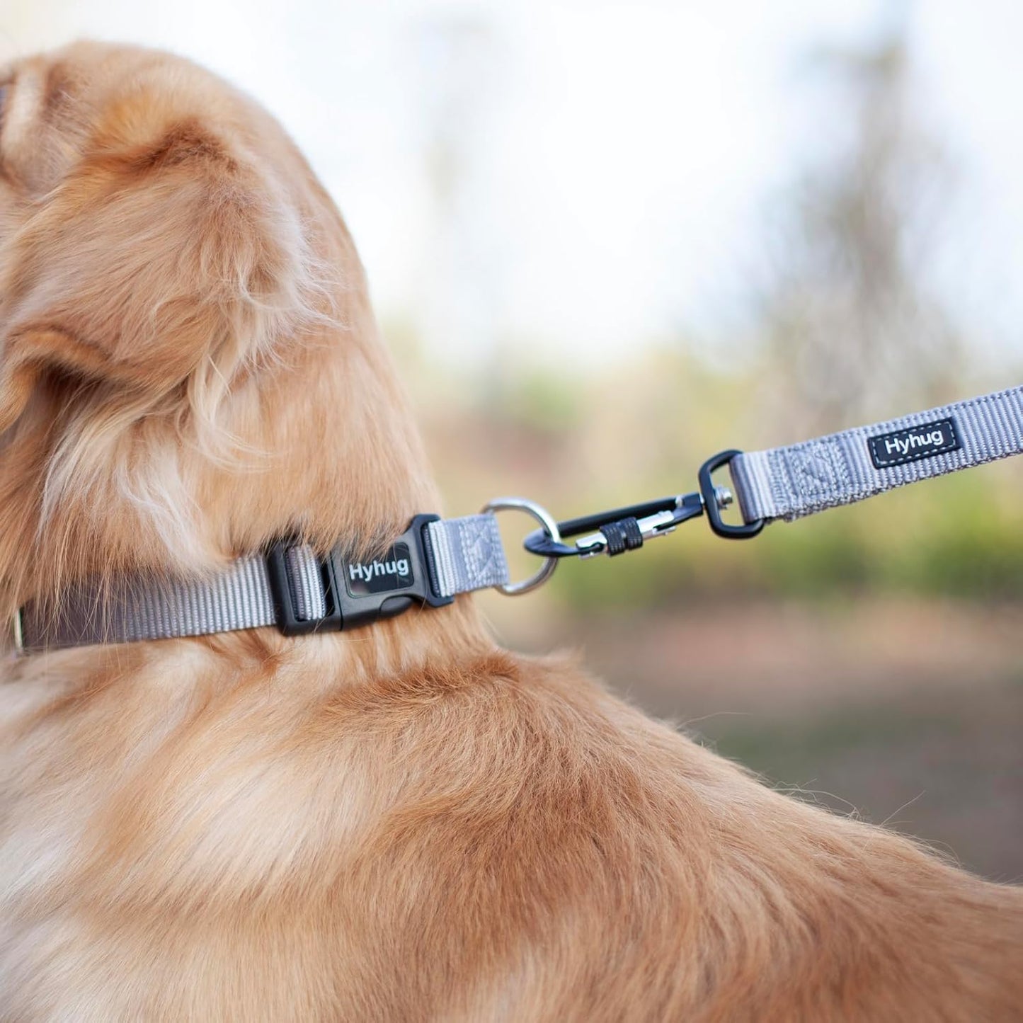 Hyhug Pets Solid Color Classic Regular Tough Basic Collar for Medium Dogs, Unique Design Adjustment Triglide Slide (Buckle) Can Attached Name Tag Accessories. (Medium, Sleet Gray)