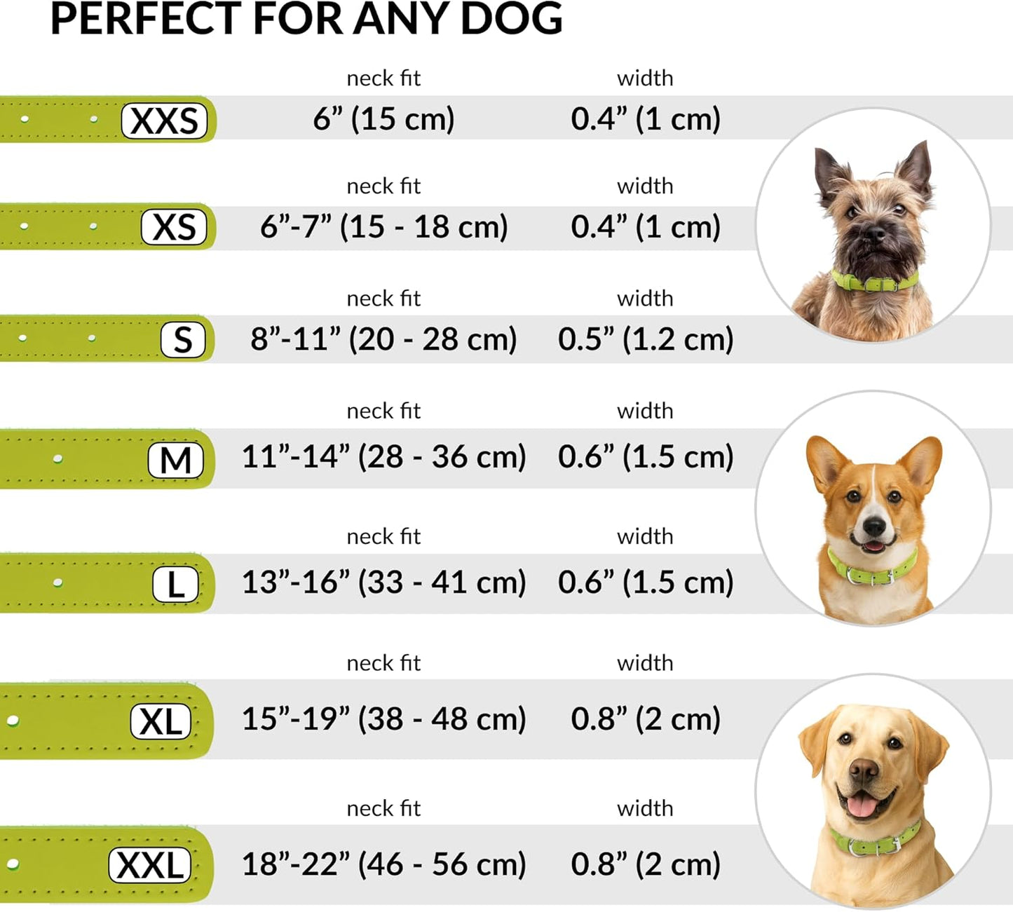 CollarDirect Rolled Leather Dog Collar, Soft Padded Round Puppy Collar, Handmade Genuine Leather Collar Dog Small Large Cat Collars 13 Colors (8-11 Inch, Lime Green Smooth)