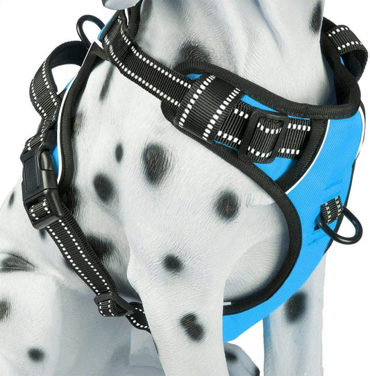 PoyPet No Pull Dog Harness, Reflective Comfortable Vest Harness with Front & Back 2 Leash Attachments and Easy Control Handle Adjustable Soft Padded Pet Vest for Small to Large Dogs (Blue,S)
