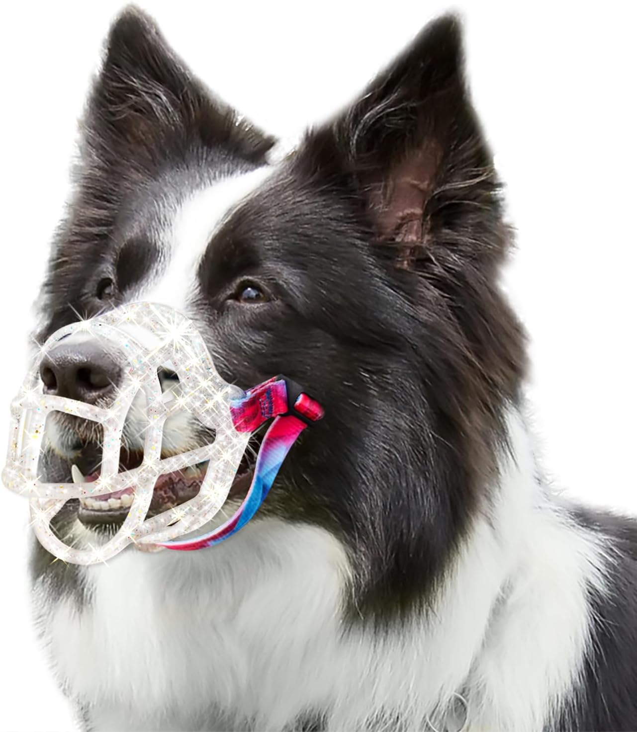 Basket Muzzle - Anti Biting Chewing, Sturdy Lightweight Allows Panting Drinking, Suitable for Grooming Trimming Training - Transparent, Size 5