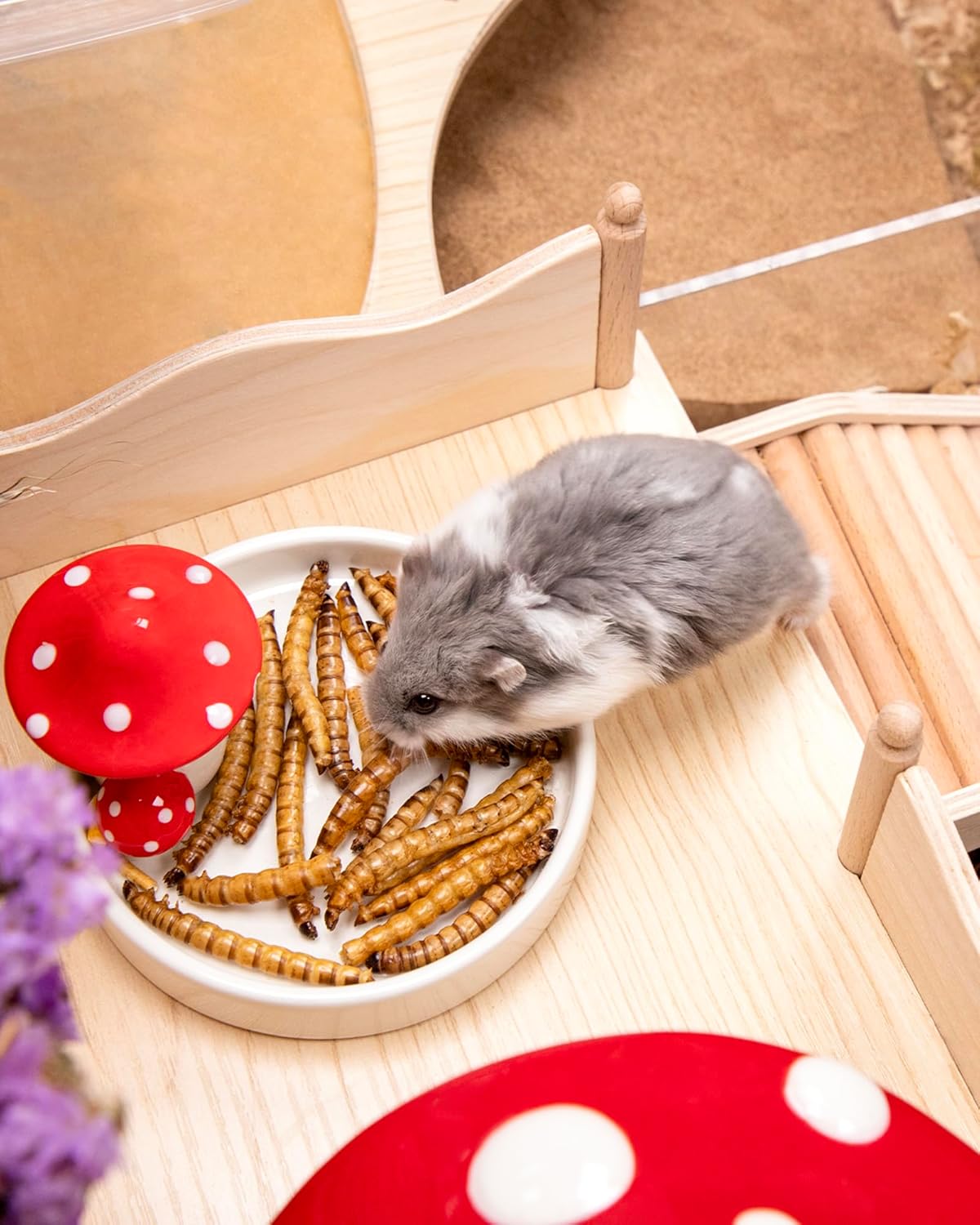 Niteangel Small Animal Snack & Treats - Small Critter Natural Treat for Dwarf Syrian Hamsters Gerbils Mice Sugar Glider Hedgehogs Chickens Birds (Dried Worms- 0.9oz (25g))