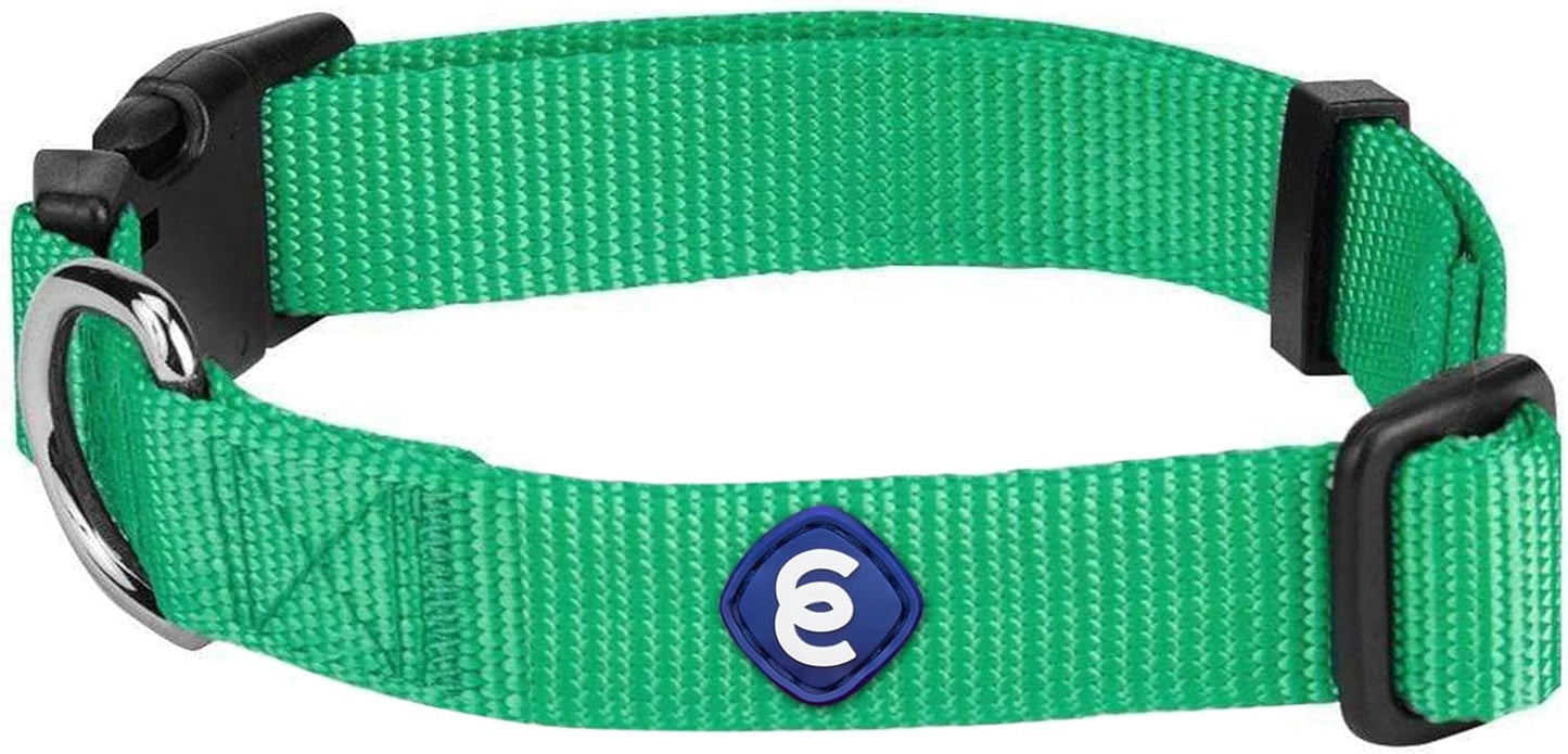 Blueberry Pet Essentials Medium Dog Collar in Emerald | Adjustable & Eco-Friendly Durable Nylon Strap | Classic Collar for Medium Dogs, Boy & Girl Pets