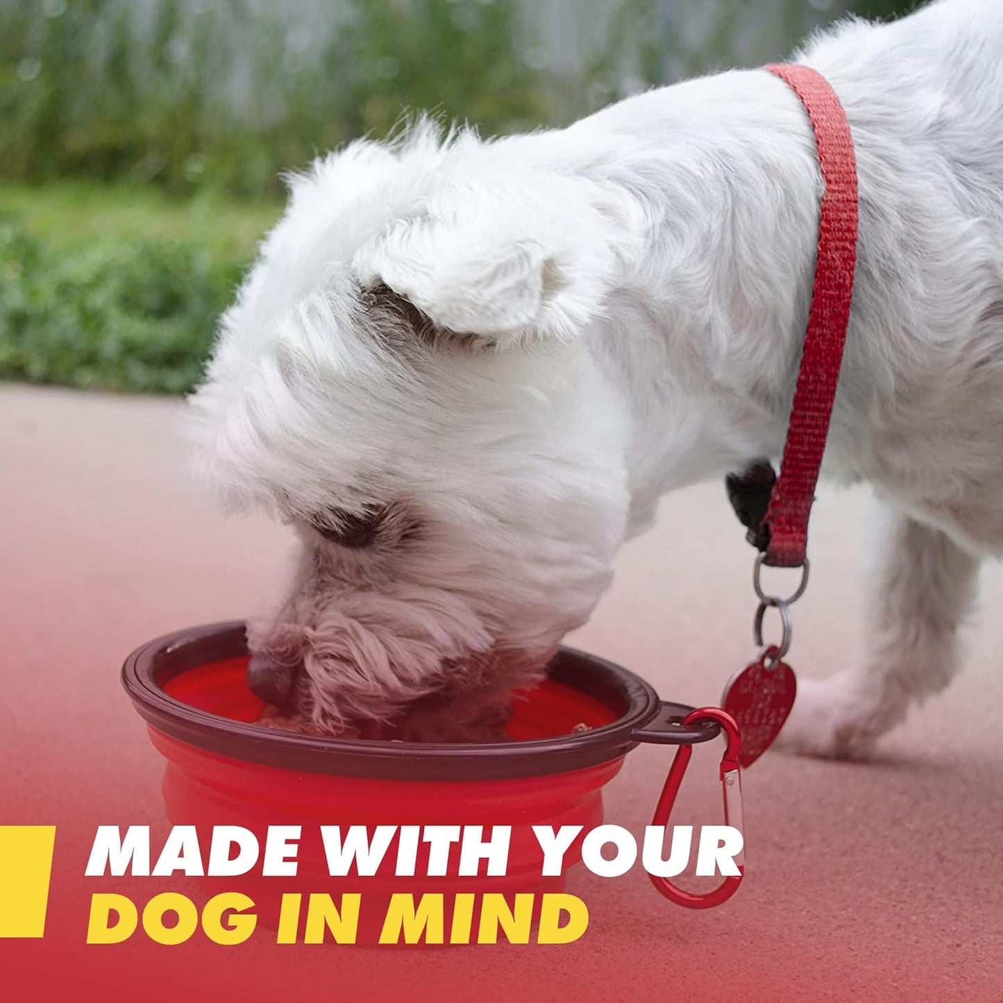 Emergency Zone - Small Dog Emergency Survival Kit - Bug Out, Emergency, Travel Kits, First Aid - Basic