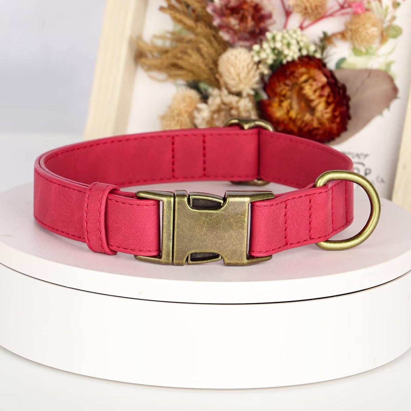 Didog Soft PU Leather Dog Collar, Stylish Quick Released Dog Collars for Medium Dogs, Easy Clean Adjustable Pet Collar for Daily Walking, Red, M Fit 13-21" Neck