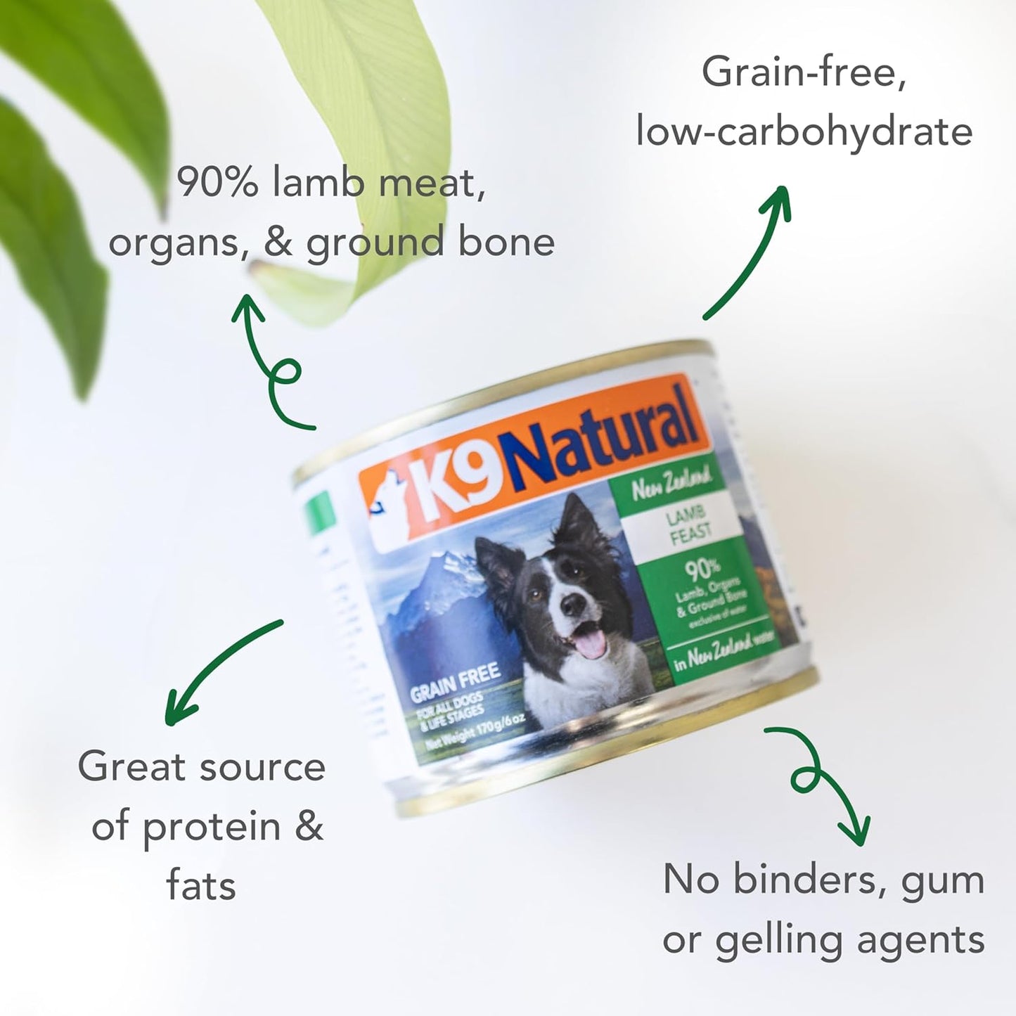 K9 Natural Wet Dog Food Pate, Lamb Feast, 6 Oz Cans (Pack of 12), Grain Free, Made in New Zealand with Grass-Fed, Free-Range Lamb, Single Source, Limited Ingredient