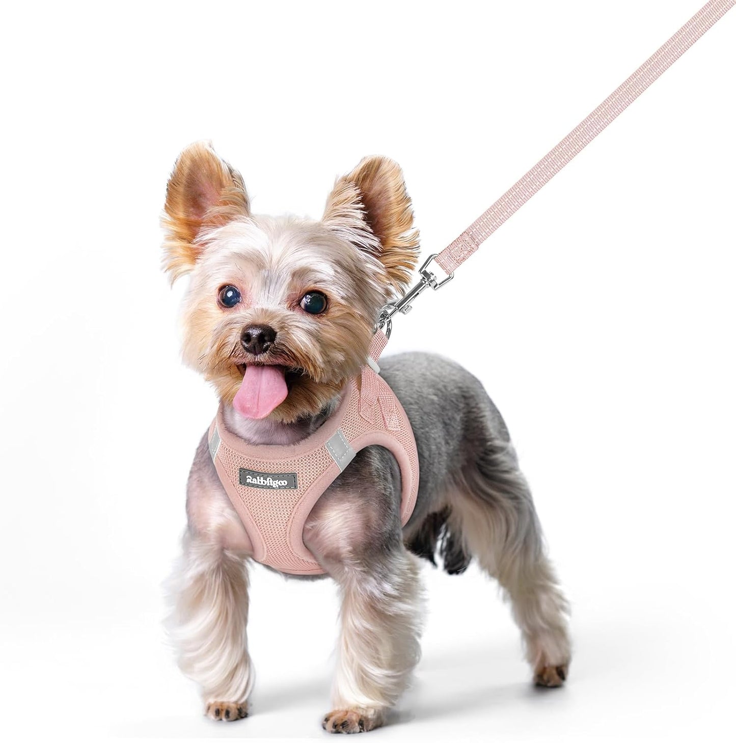 rabbitgoo Dog Harness Small Sized and Leash Set, Step in Soft Light Puppy Vest, Breathable Mesh Pet Harness, Reflective for Safe Outdoor Walking, Pink XS