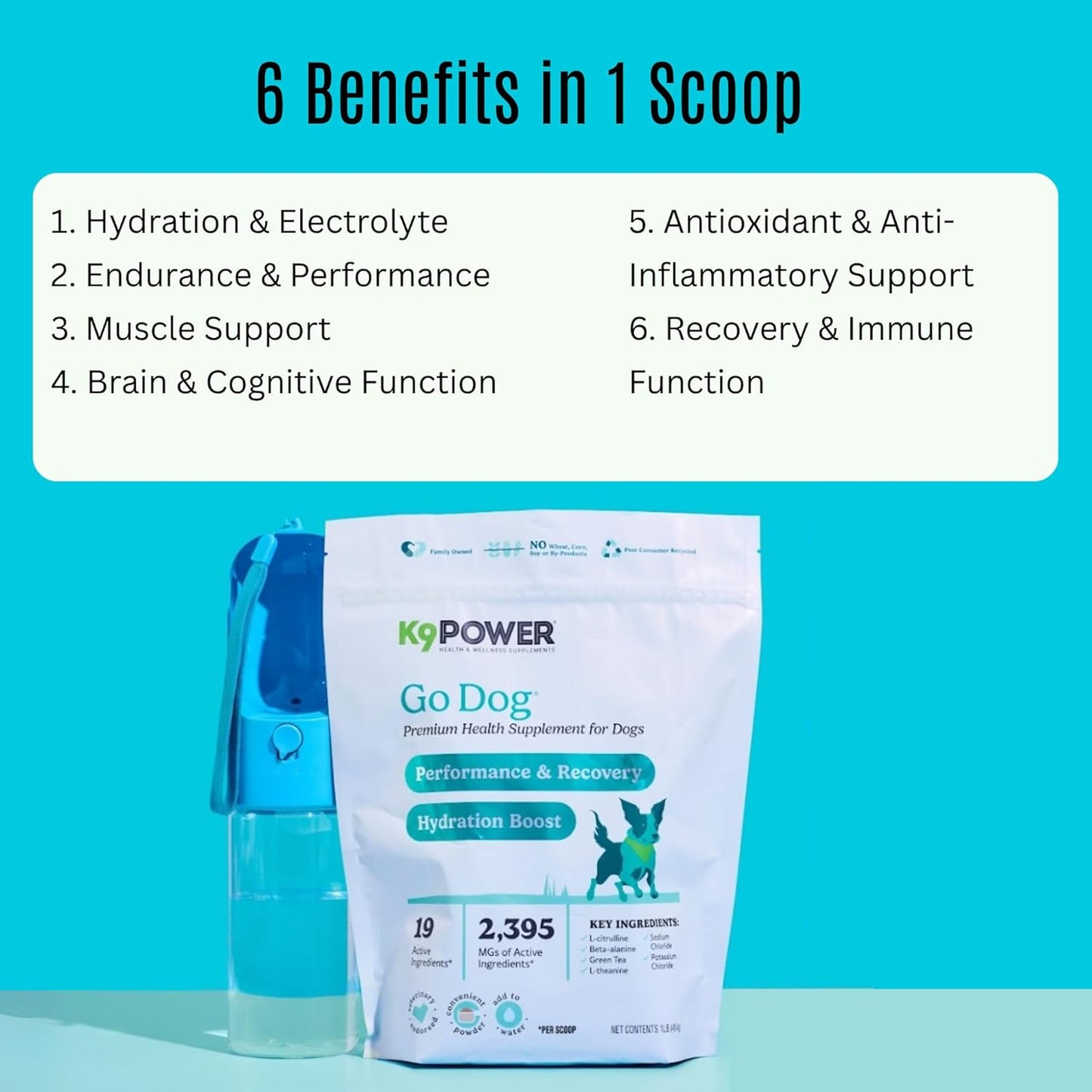 K9 Power Go Dog Hydration & Performance Drink Mix 1 lb - Active Dog Supplement for Muscle Function, Endurance, Recovery, with Electrolytes Support