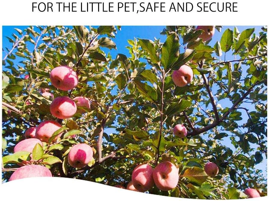 Bunny Chew Toys for Teeth, 2 PCS Organic Apple Wood Molar Sticks with Timothy Hay Circles for Bunny Chinchilla Guinea Pig Hamsters Holland Lop Prairie Dogs Squirrels, Improves Dental Health