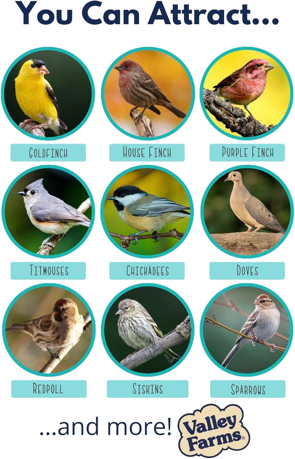 Valley Farms Wild Finch Mix (4 LB) Wild Bird Food for Outside Feeders, Wild Bird Seed with Millet and Chopped Sunflower Hearts for Birds, Finch Seed for Finch Feeders, Sunflower Kernels