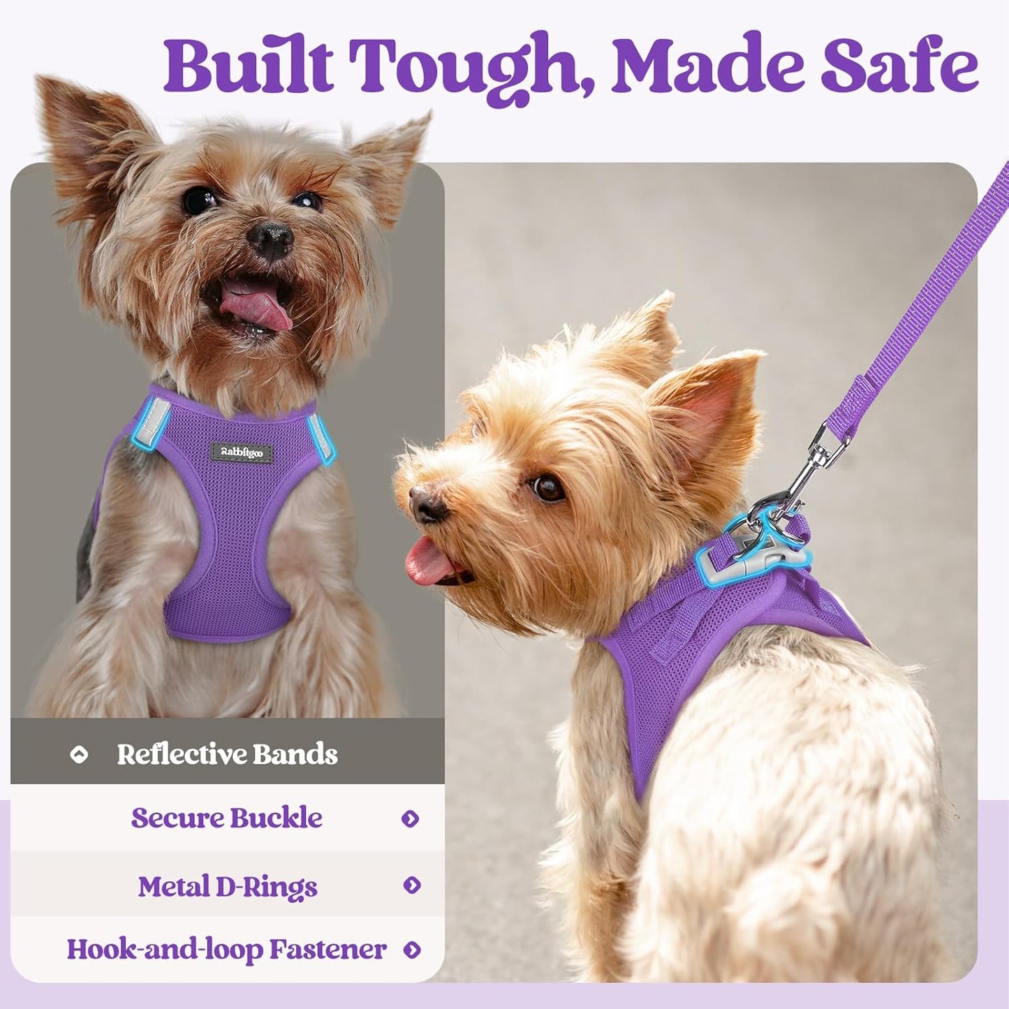 rabbitgoo Dog Harness Small Sized and Leash Set, Step in Soft Light Puppy Vest, Breathable Mesh Pet Harness, Reflective for Outdoor Safe Walking, Purple XL