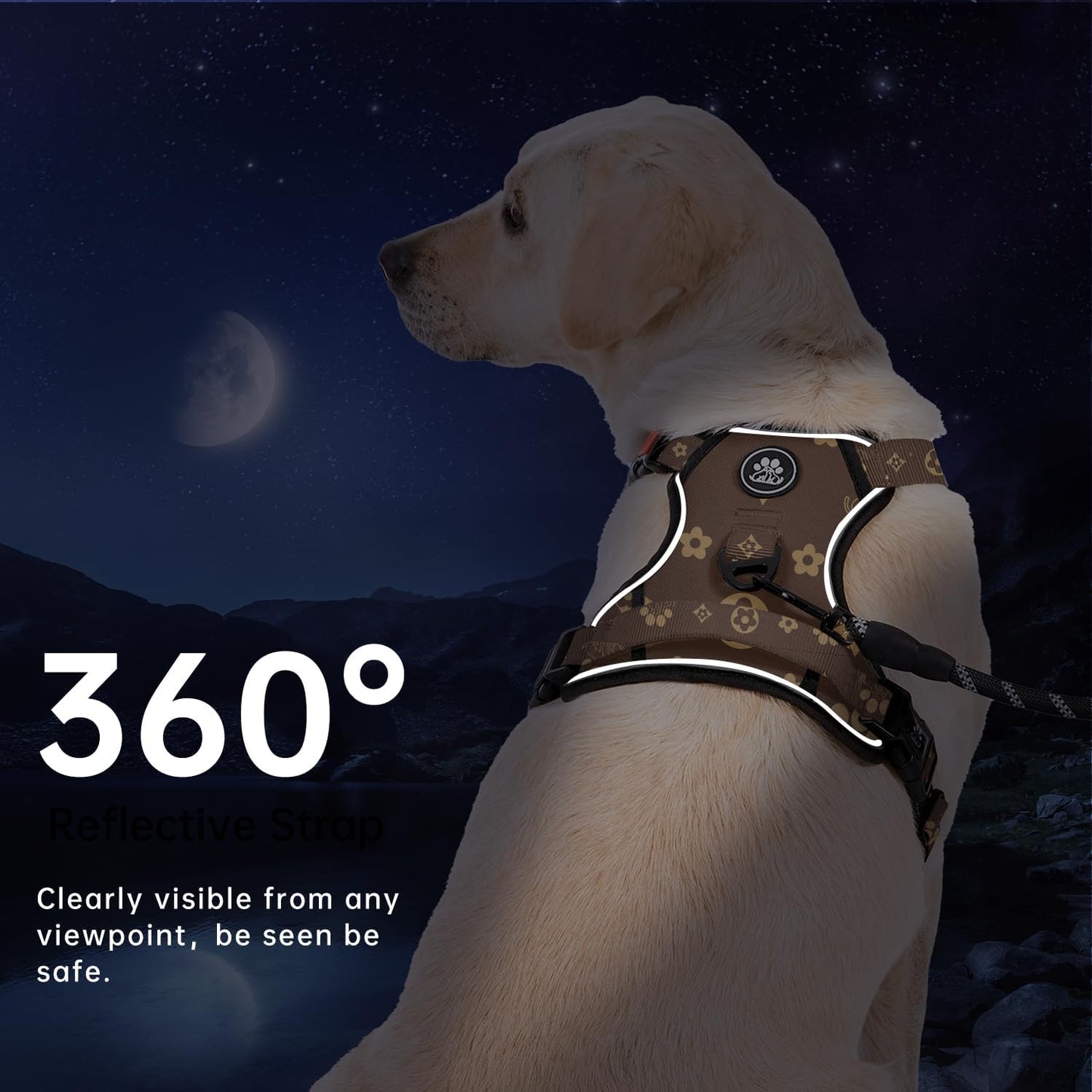 IVY&LANE No Pull Dog Harness with Leash Set, Reflective No Choke Pet Vest,Adjustable Oxford Dog Vest Harness with Easy Control Handle for Medium Dogs (Dark Brown,M)
