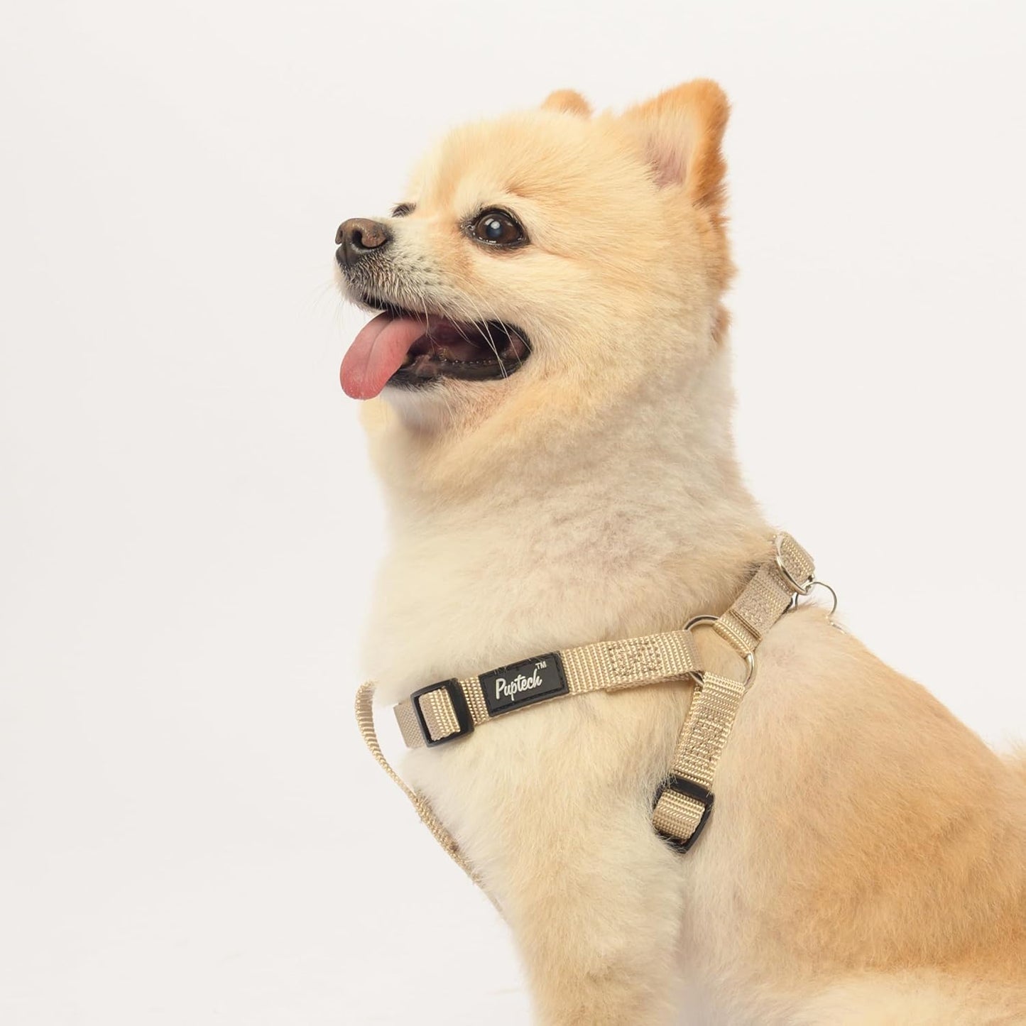 PUPTECK No Pull Dog Harness Soft Adjustable Basic Nylon Step in Puppy Vest Outdoor Walking with ID Tag Cream