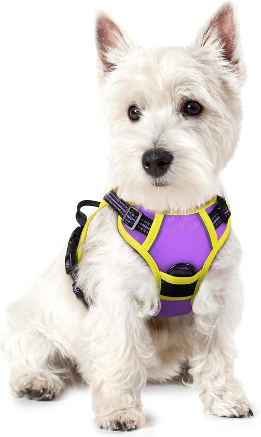 rabbitgoo Dog Harness No Pull with 2 Leash Clips, Adjustable Soft Padded, Reflective Oxford No Choke Pet Vest with Easy Control Handle for Puppy, Purple & Yellow, XS