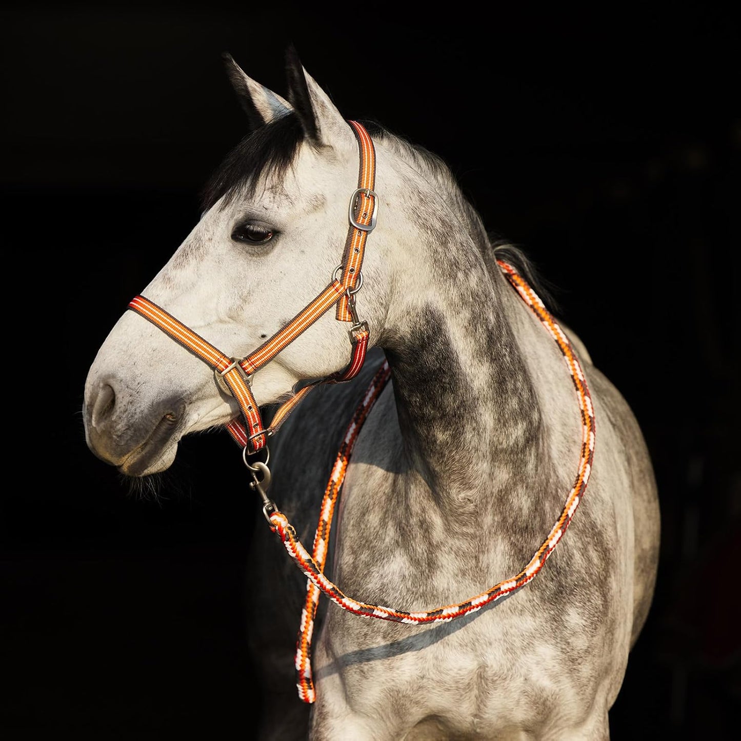 HORZE Adepto Adjustable Horse Halter | Soft, Durable Polyester - Coral Gold - Warmblood