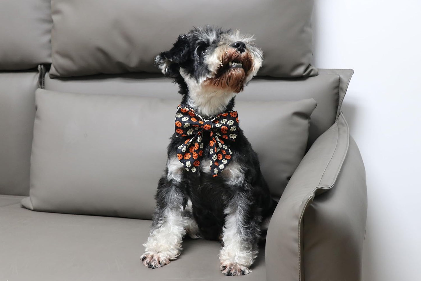 Lionet Paws Halloween Dog Collar with Bowtie - Cute Cotton Adjustable Black Bowtie Dog Collar with Metal Buckle for Small Medium Large Dog Girl Boy Gift, XS, Neck 8-12in