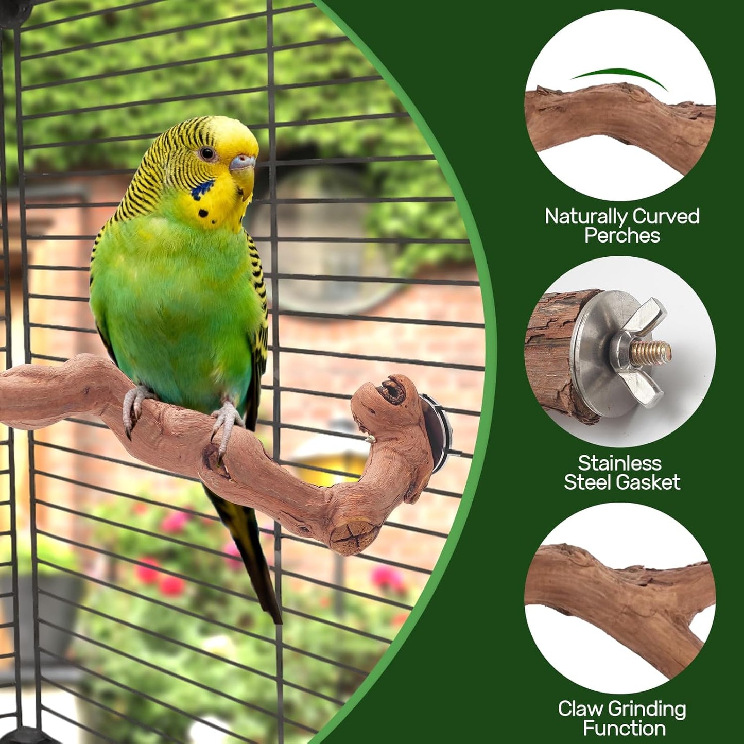 3-Piece Premium Bird Perch Stand with Natural Grape Wood Branch, Paw Grinding Fork, Chewing Stick, Cage Accessories for Parakeets, Budgies, Cockatiels, Finches, Lovebirds