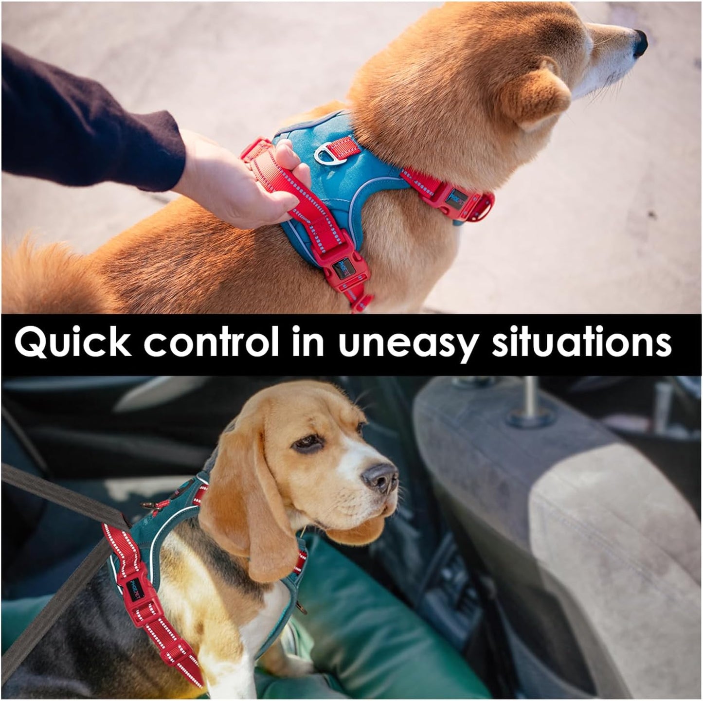 PHOEPET No Pull Dog Harness, Unique Colors Reflective Adjustable Dog Vest, with Soft Training Handle Metal Clips for Small Medium Large Dogs (Teal Base & Red Straps,M)