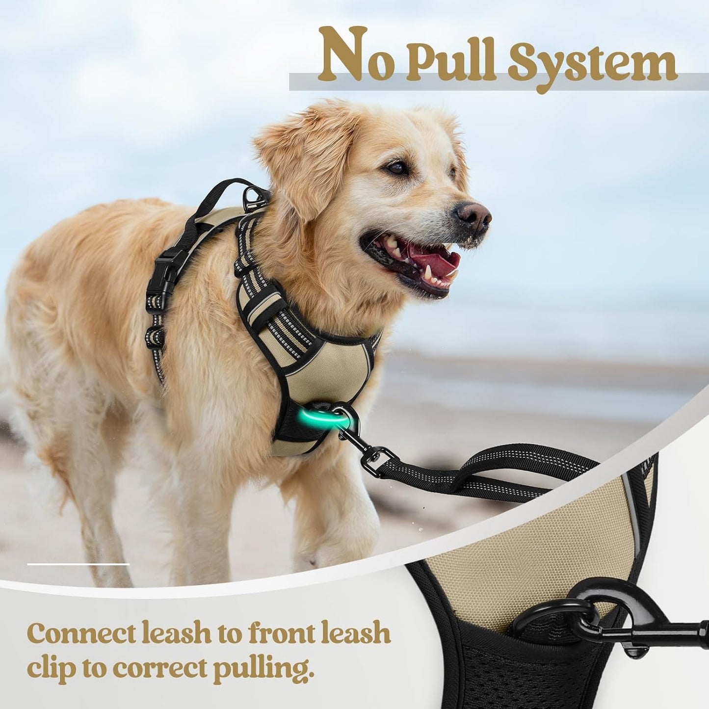 rabbitgoo Dog Harness No Pull with 2 Leash Clips, Adjustable Soft Padded, Reflective Oxford No Choke Pet Vest with Easy Control Handle for Medium Sized Dogs, Beige, M