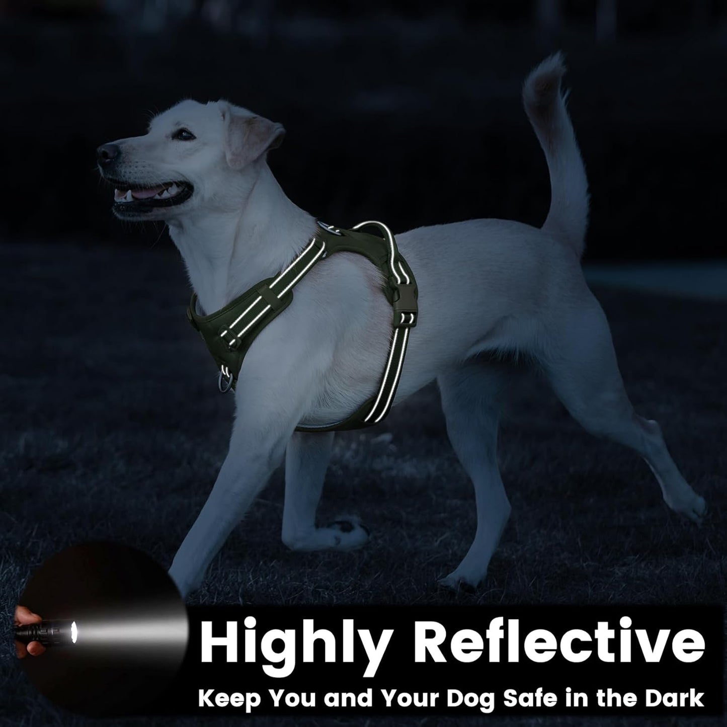 No Pull Dog Harness, Reflective Puppy Vest for Small Medium Large Sized Dog (Misty Green,S)