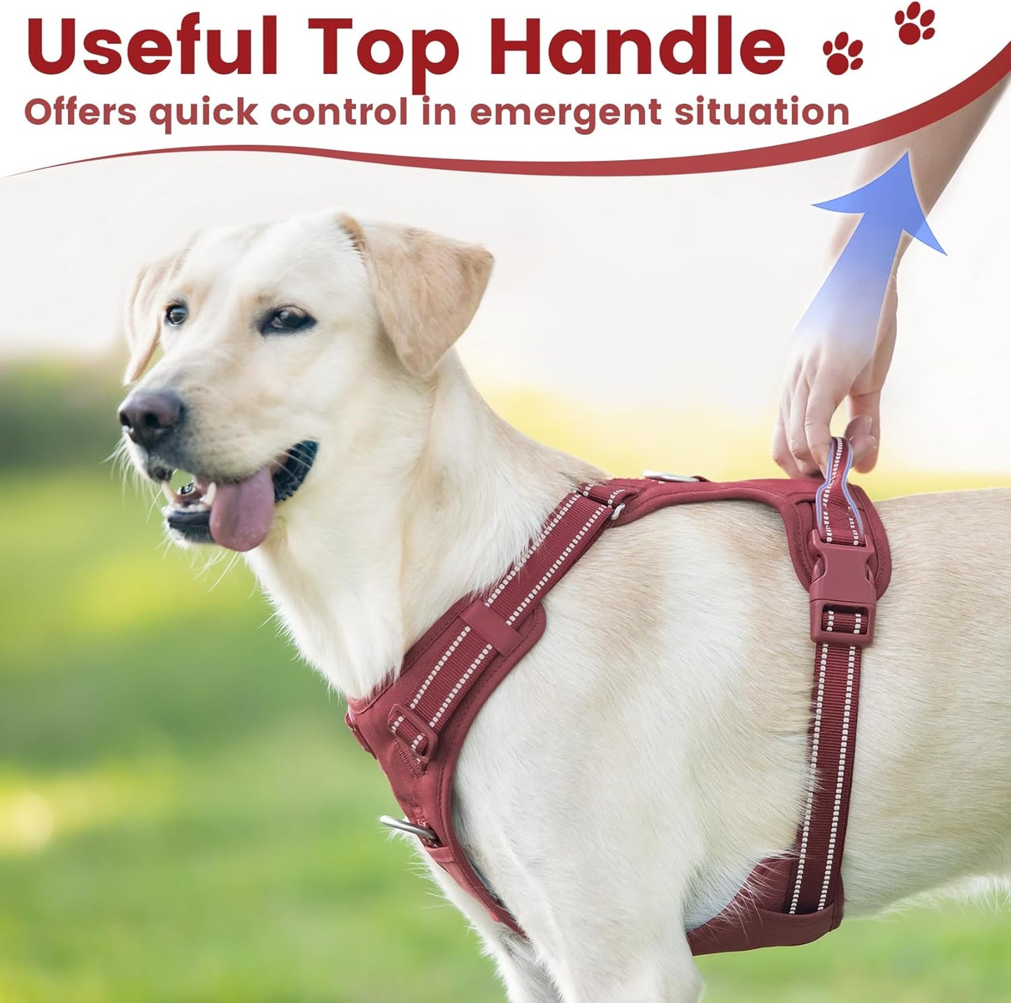 No Pull Dog Harness, Reflective Puppy Vest for Small Medium Large Sized Dog(Burgundy Red,XL)