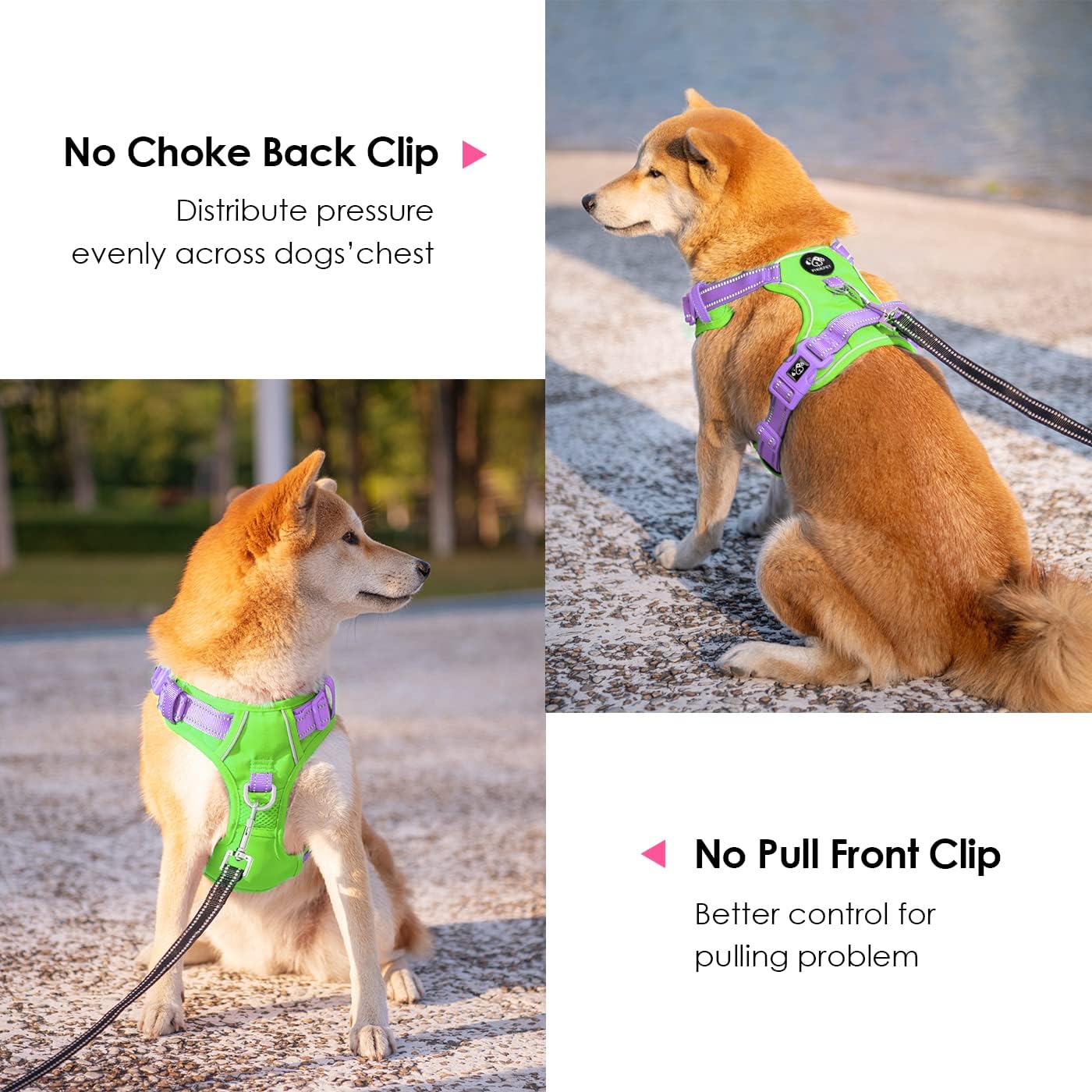 PHOEPET No Pull Dog Harness, Unique Colors Reflective Adjustable Dog Vest, with Soft Training Handle Metal Clips for Small Medium Large Dogs (Green Base & Purple Straps,XL)