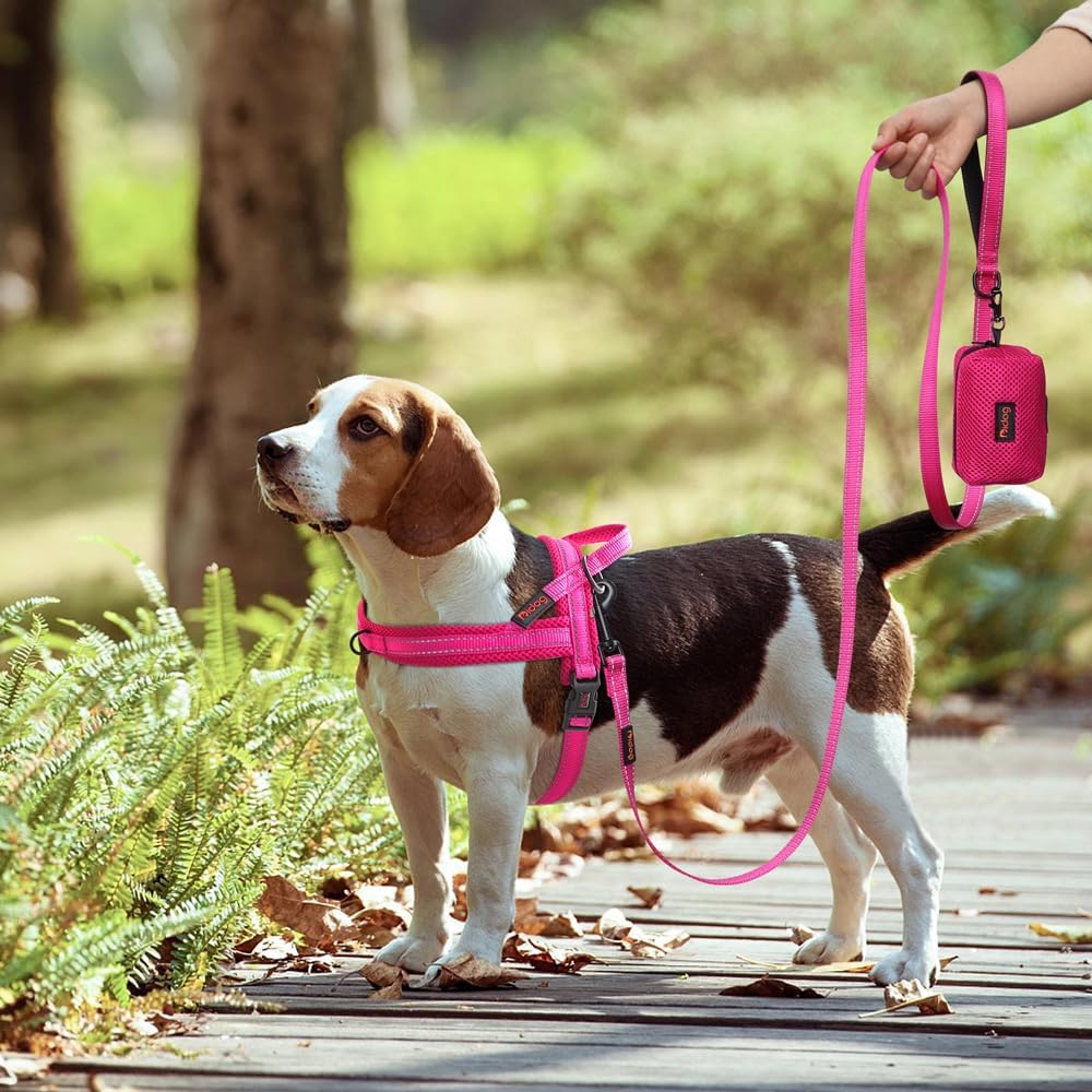 Didog No Pull Dog Harness with Soft Mesh Padded,Reflective & Quick Fit Light Weight Dog Strap Vest Harness,Easy for Walking Training (M:Chest 21-26", Mesh-Hot Pink)