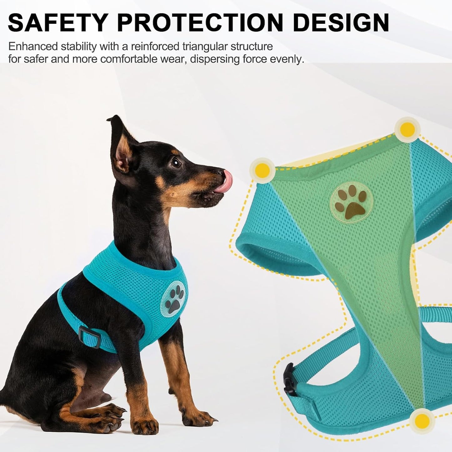 BINGPET No Pull Dog Harness,All Weather Mesh Step-in Vest Harness for Small Dogs,Breathable Mesh Puppy & Cat Harness