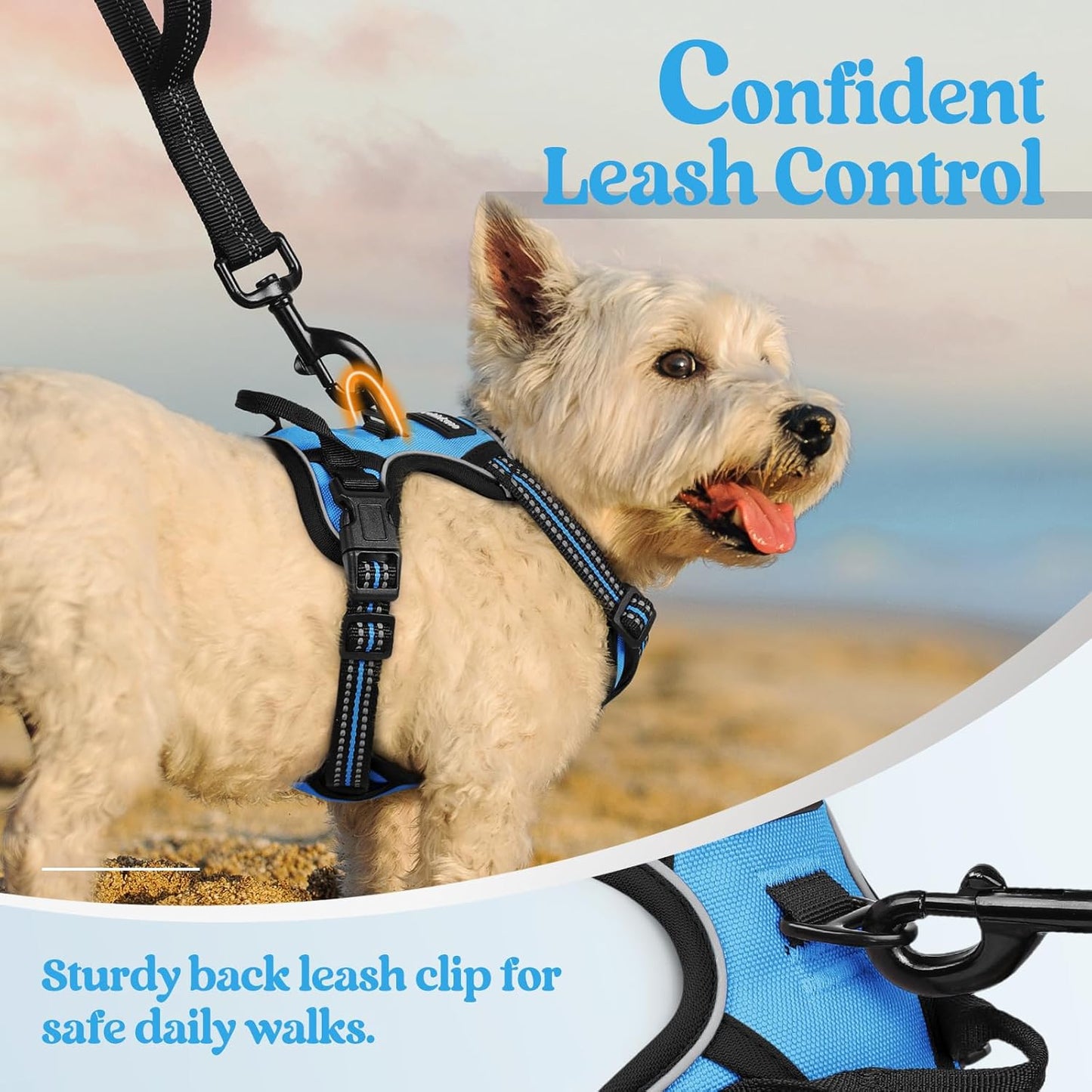rabbitgoo Dog Harness No Pull with 2 Leash Clips, Adjustable Soft Padded, Reflective Oxford No Choke Pet Vest with Easy Control Handle for Puppy, Blue, XS