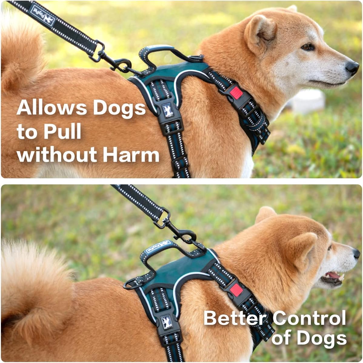 PoyPet No Pull Dog Harness, No Choke Front Clip Reflective Dog Vest with Soft Padded Vertical Handle, 3 Leash Attachments for Small Medium Large Dogs (Tumalo Teal,XL)