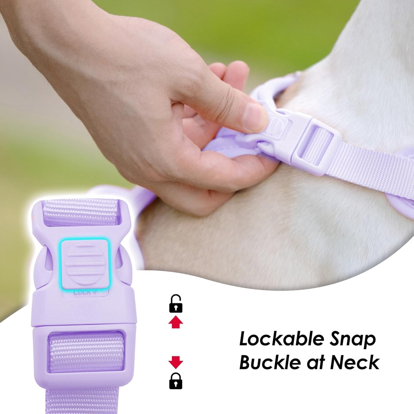 No Pull Dog Harness, Puppy Vest with Front Clip for Small Medium Large Sized Dog(Light Purple,XL)