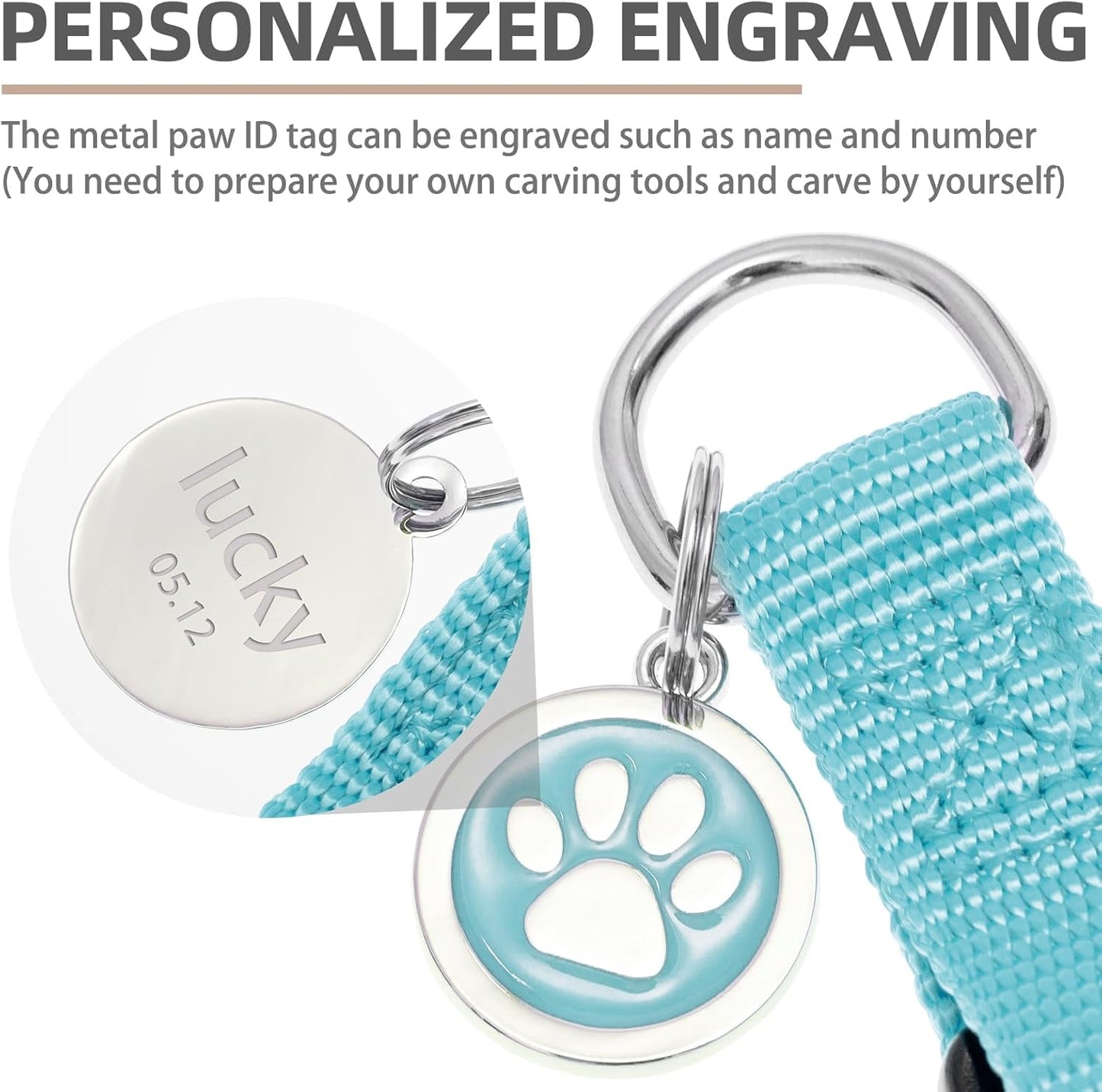 PUPTECK No Pull Dog Harness Soft Adjustable Basic Nylon Step in Puppy Vest Outdoor Walking with ID Tag, SkyBlue, XS