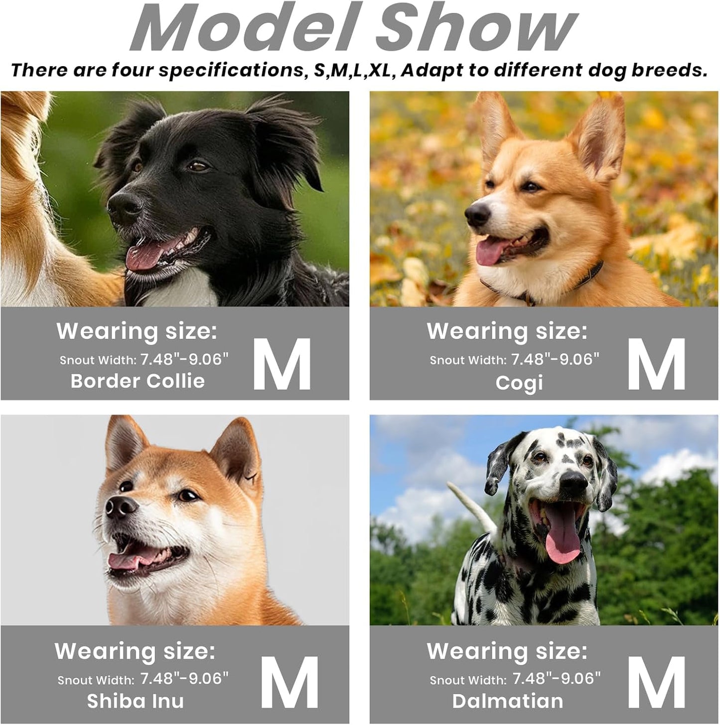 Dog Muzzle, Basket Muzzle for Small Medium Large Dogs, Anti-Biting and Chewing, Lightweight & Sturdy Cage Design, Allows Panting & Drinking, Ideal for Grooming & Training(Black Size M)