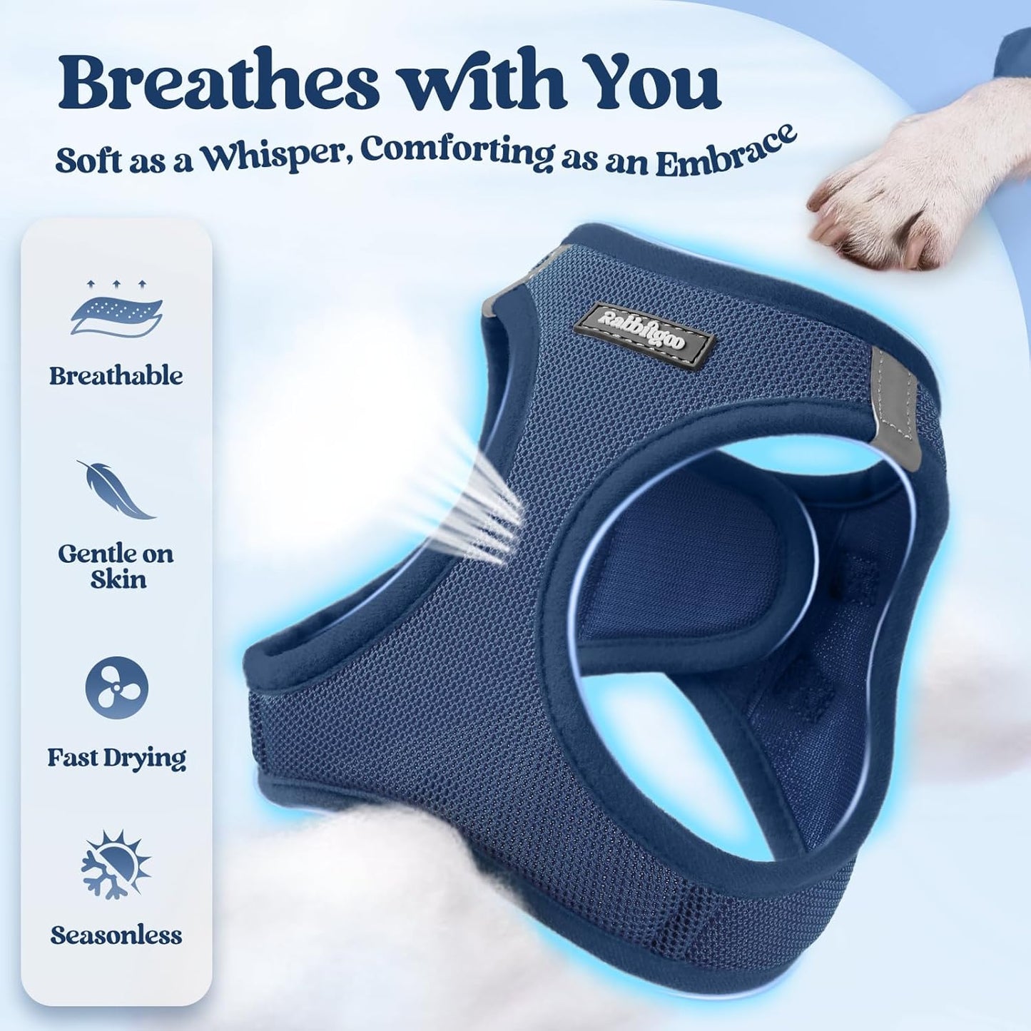 rabbitgoo Dog Harness Small Sized and Leash Set, Step in Soft Light Puppy Vest, Breathable Mesh Pet Harness, Reflective for Outdoor Safe Walking, Navy Blue XXL