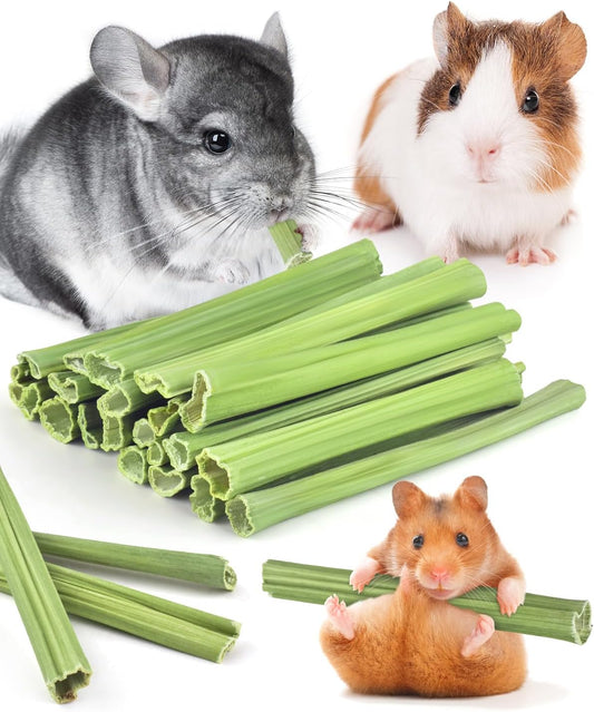 Bissap 25 PCS Guinea Pigs Chew Sticks, Natural Papaya Stems Bunny Chews Treats for Hamsters Chinchillas Small Animals Organic Molar Chewing Snack