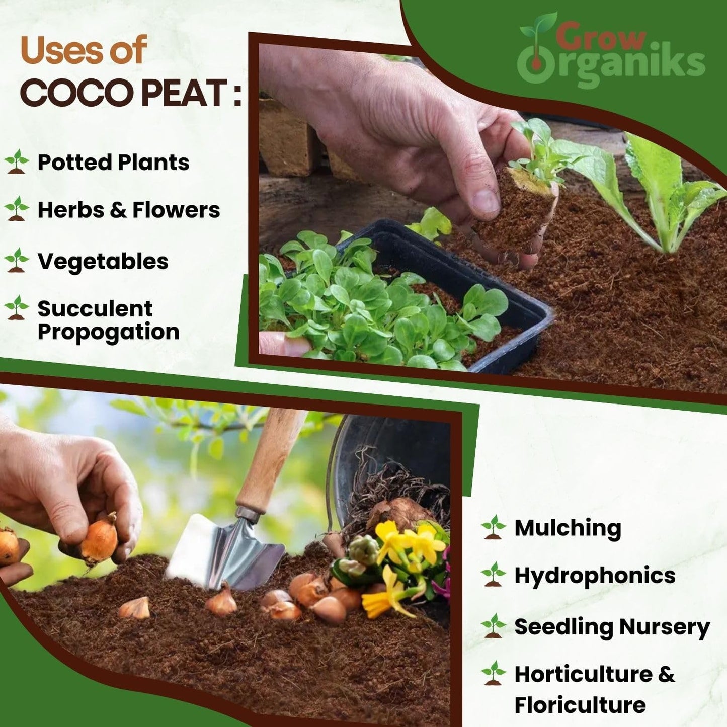 4 Pack Premium Coco Coir Brick for Plants | 100% Organic Compressed Coconut Coir Bricks Starting Mix, Coco Coir Fiber Coconut Husk for Planting, Gardening, Potting Soil Substrate, Herbs, 1.4 LB/Brick