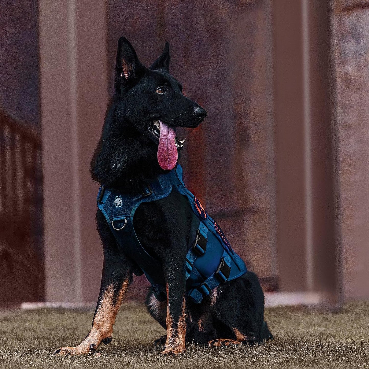 OneTigris No Pull Tactical Dog Harness for Small Medium Dogs, Mesh Design Service Dog Vest Breathable Military Dogs Molle Vests with Handles, Harness for Walking Hiking Training (Blue, M)