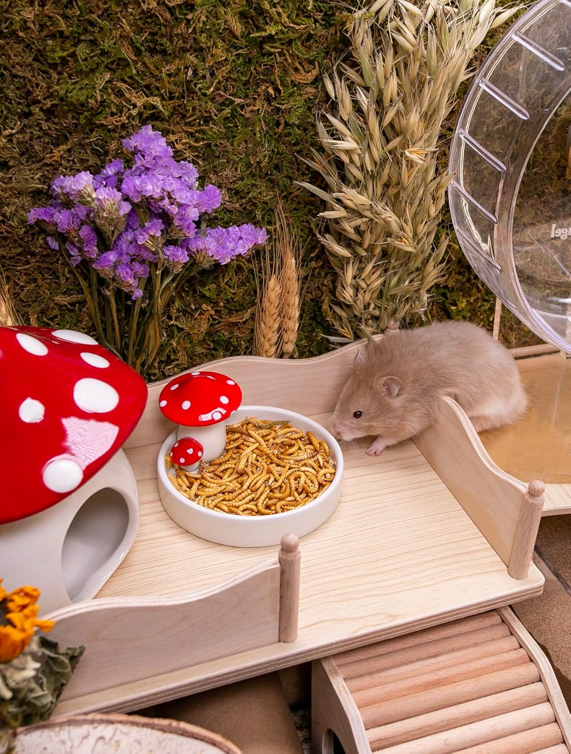 Niteangel Small Animal Snack & Treats Toy - Small Critter Natural Treat for Dwarf Syrian Robo Hamsters Gerbils Mice Lemmings Sugar Glider Hedgehogs Chickens Birds or Other Small-Sized Pets