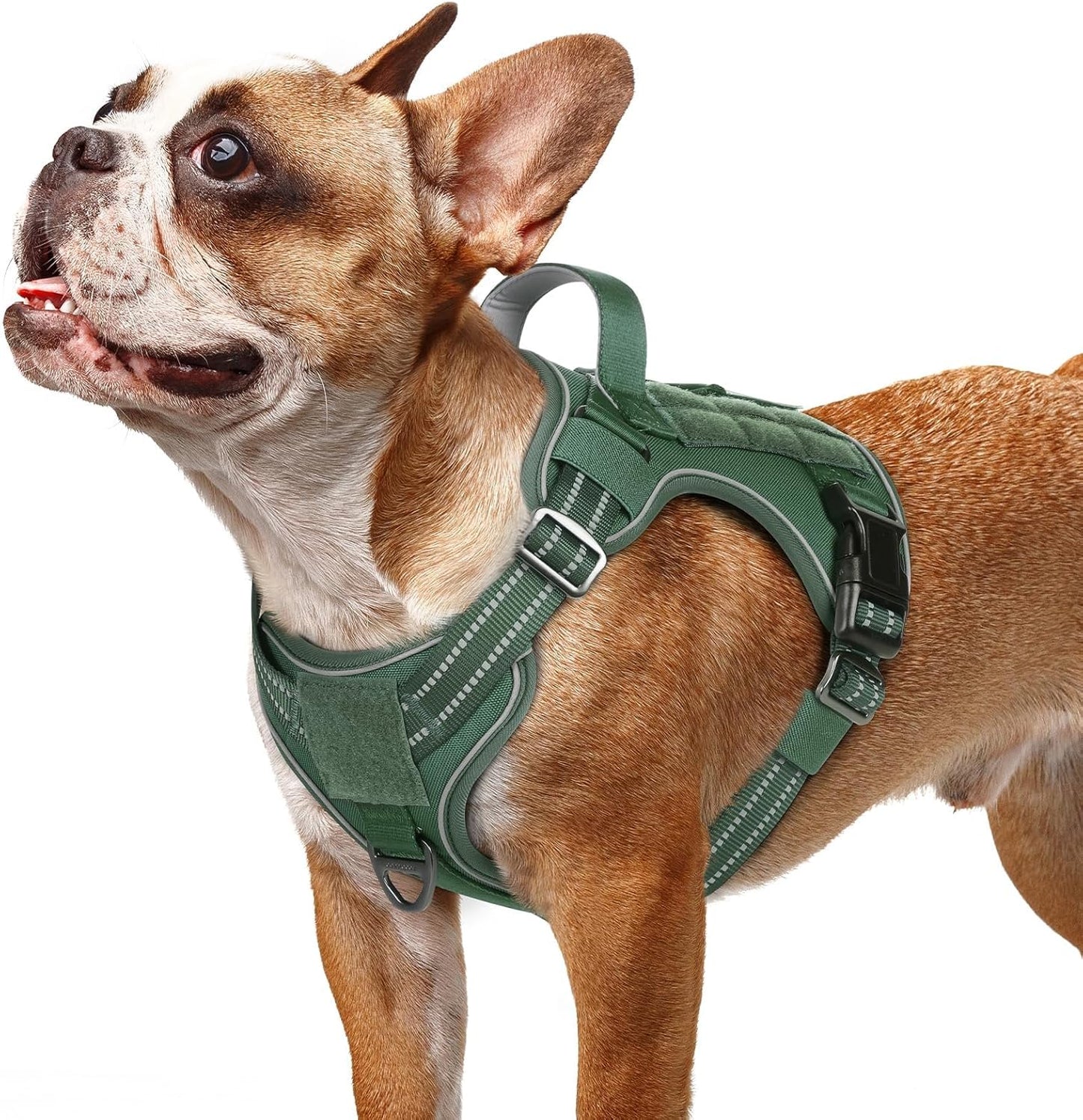 rabbitgoo Dog Harness Small Sized No Pull, Tactical Service Pet Vest with Molle and Control Handle, Adjustable and Reflective Military Harness for Easy Walking and Training, Green, S