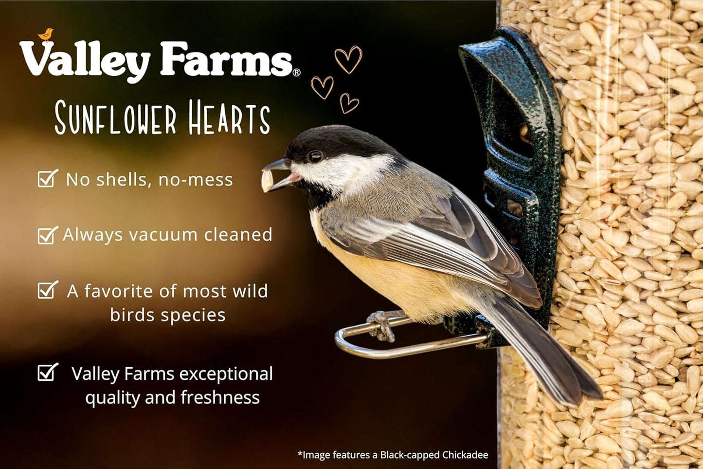 Valley Farms Whole Sunflower Hearts for Birds (40 LB) No Mess Bird Seed for Outside Feeders, Attract Finches, Cardinals, & More Wild Birds, Very Clean Sunflower Seeds