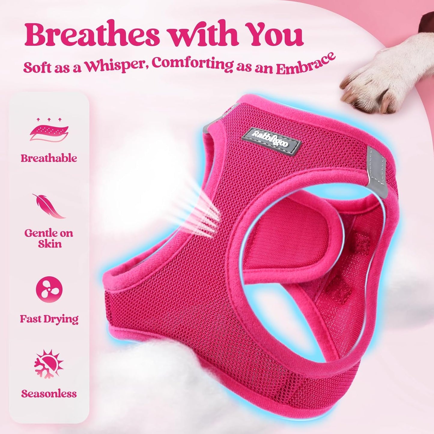 rabbitgoo Dog Harness Small Medium Sized and Leash Set, Step in Soft Light Puppy Vest, Breathable Mesh Pet Harness, Reflective for Safe Easy Walking, Rosa Red XL