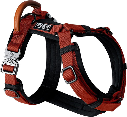 MADE TO ROAM Premium Explorer Harness - Y-Shaped Dog Harness with Adjustable Durable Nylon, Soft Padding, Metal Buckles and Leather Handle for Small, Medium, Large Dogs (Texas Flair, Size 4)