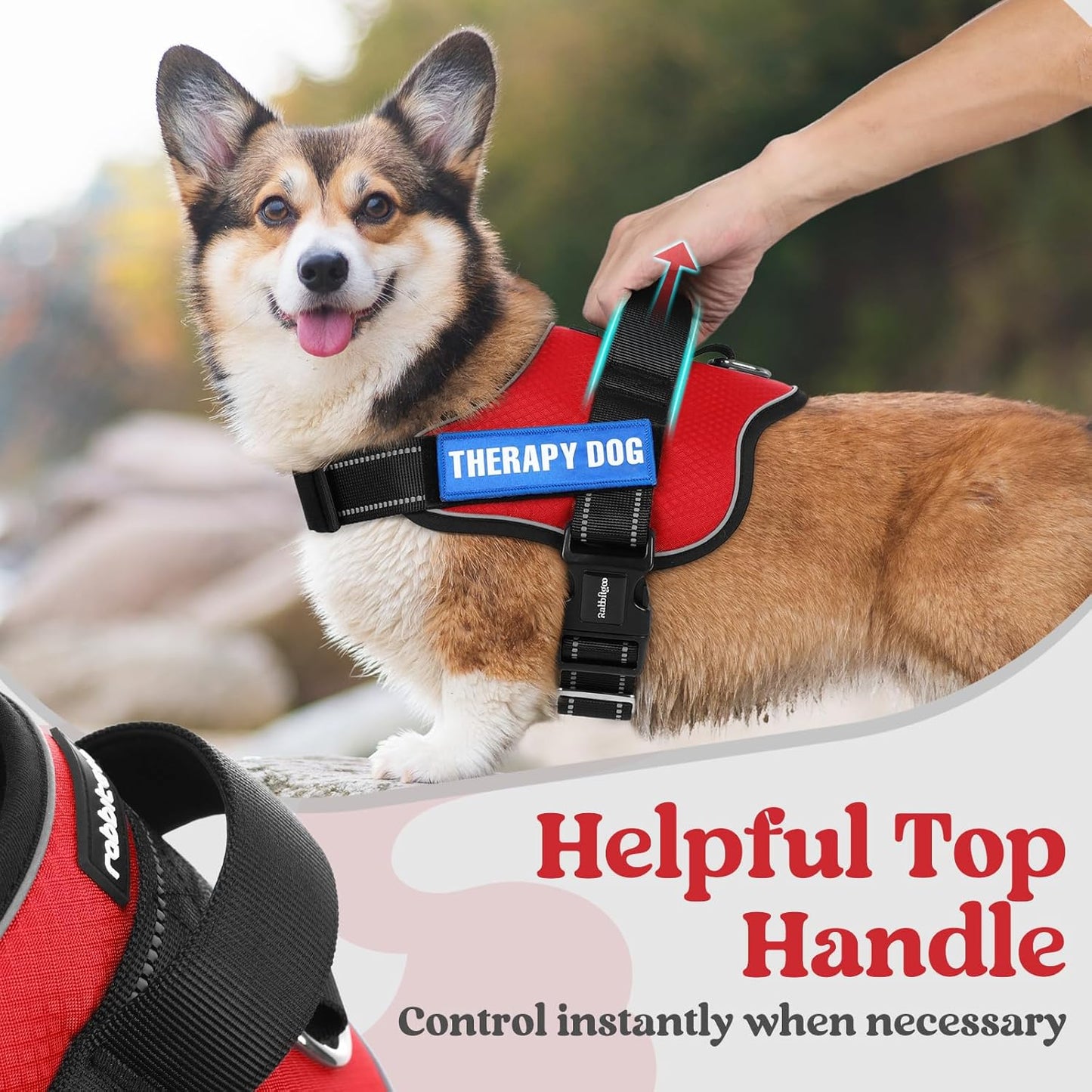 rabbitgoo Dog Harness Medium Sized, Easy On Pet Vest with One Buckle, No Pull Adjustable Service Harness with D-Ring & Handle, Reflective for Safety Walking, Training, Red, M